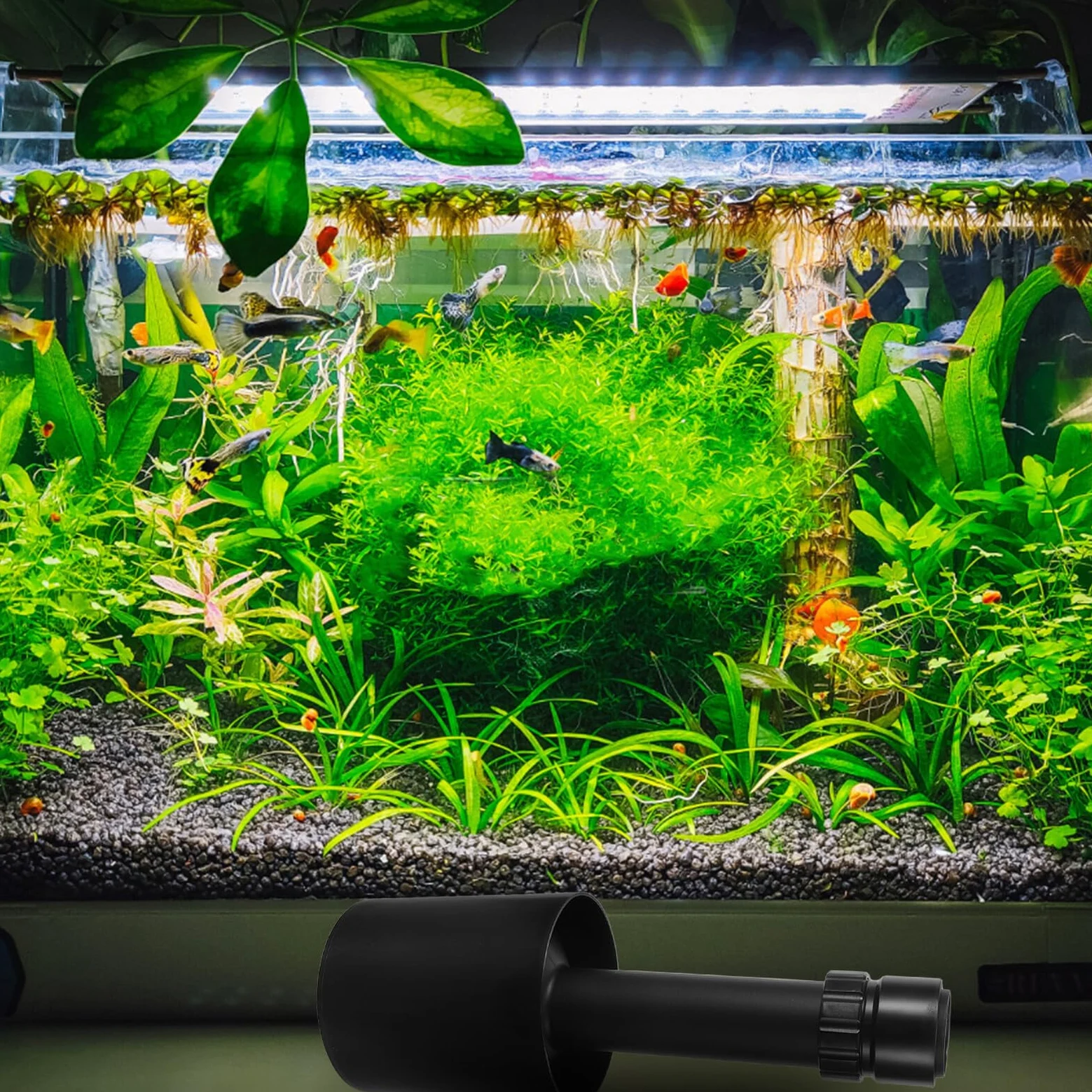 SUPVOX Skimmer de Superficie para Acuarios de Agua Dulce y Marina Filtro Skimmer de Plástico sin Base Csp-40S Eliminador de Película Superficial y Recolector de Residuos para Peceras y