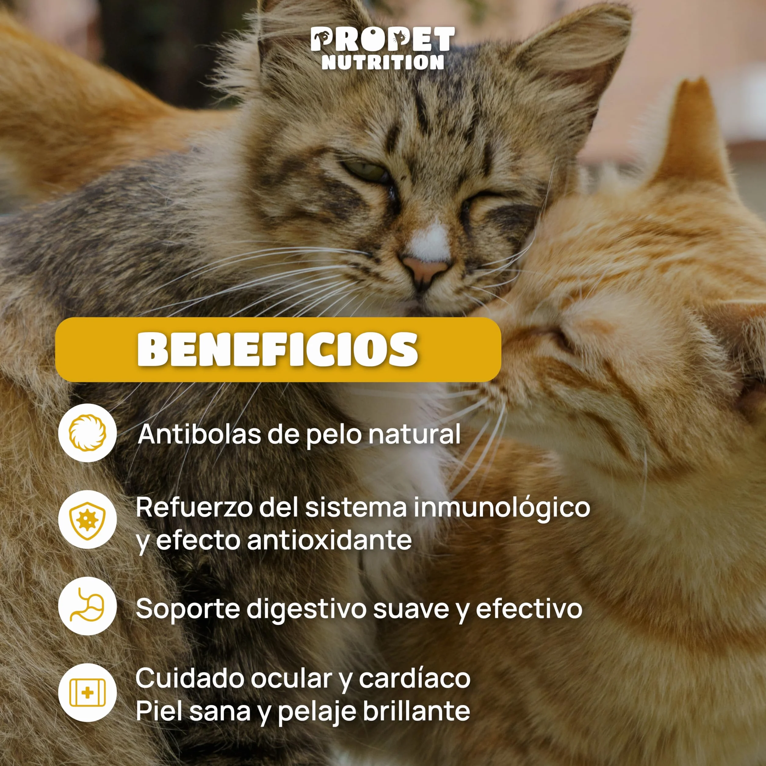 Malta para Gatos + Taurina + Vitaminas. Triple Acción. Elimina y Previene Bolas de Pelo. Óptima Salud Intestinal. 120 ML. Impulsa Bienestar General. Enriquecido con Vitaminas para Gatos. Malta Gatos