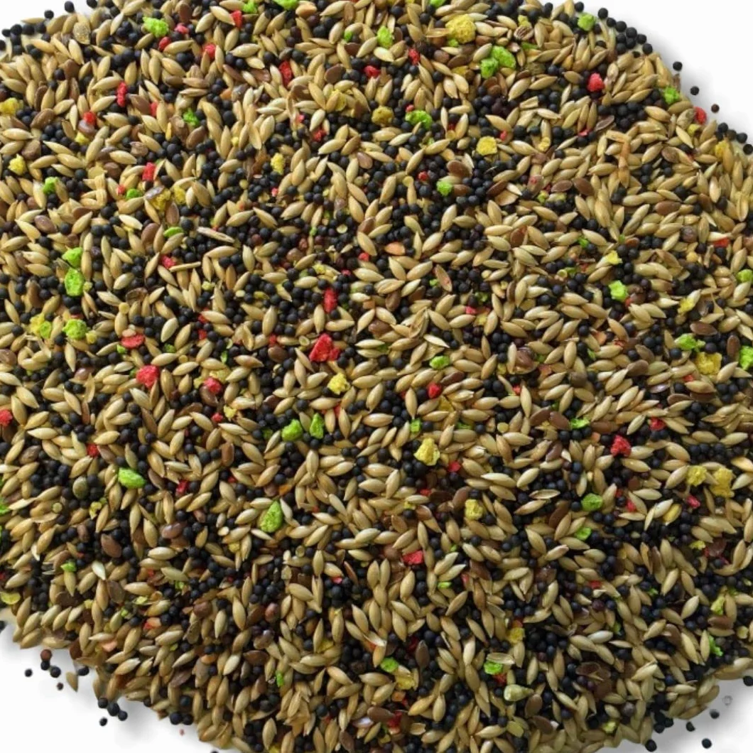 Comida para Canarios, Jilgueros y Silvestres Natural sin Avena 5Kg