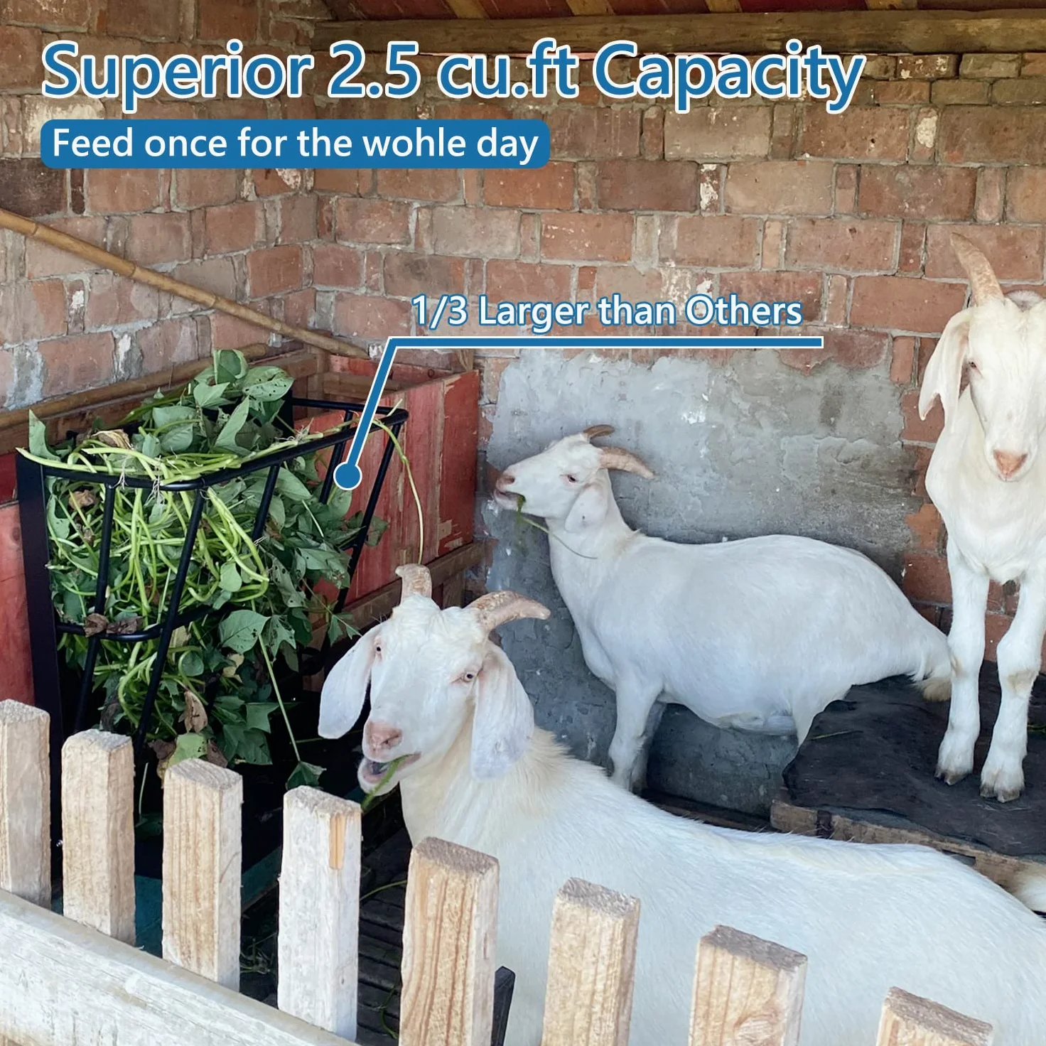 Horse Feeding Supply