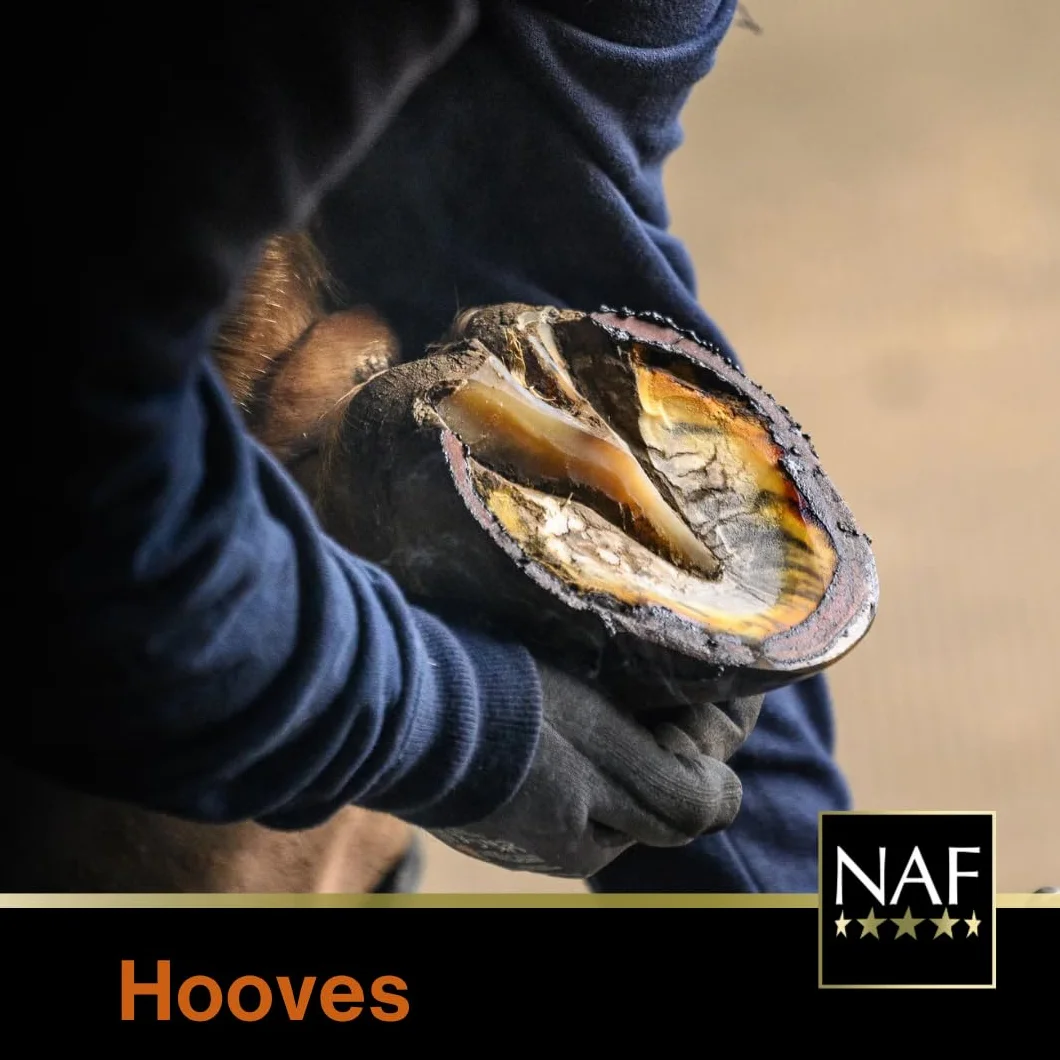 NAF Profeet Farrier Solution 500 ml - Apósito para pezuñas para Caballos - Nutre, Protege y fortalece Las pezuñas - con aceites Naturales y Agentes antibacterianos - Fácil aplicación con Cepillo
