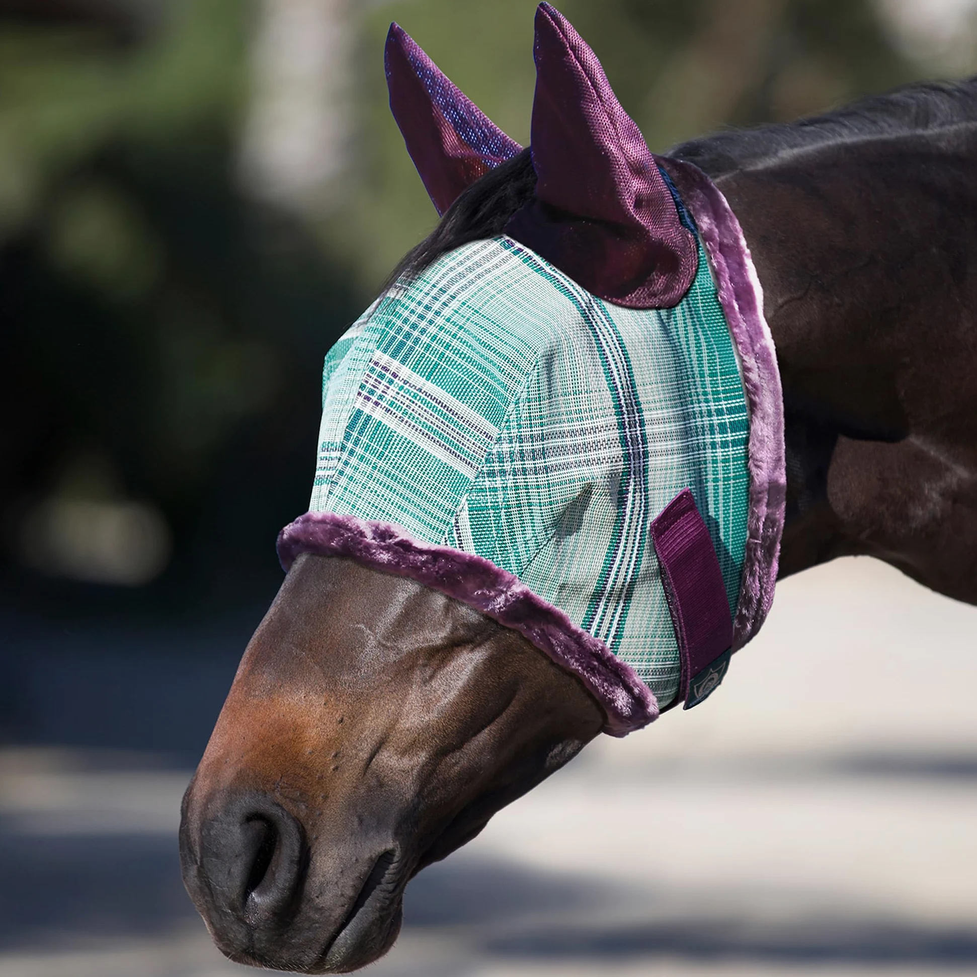 Kensington Fly Mask with Fleece Trim and Ears with Forelock Hole