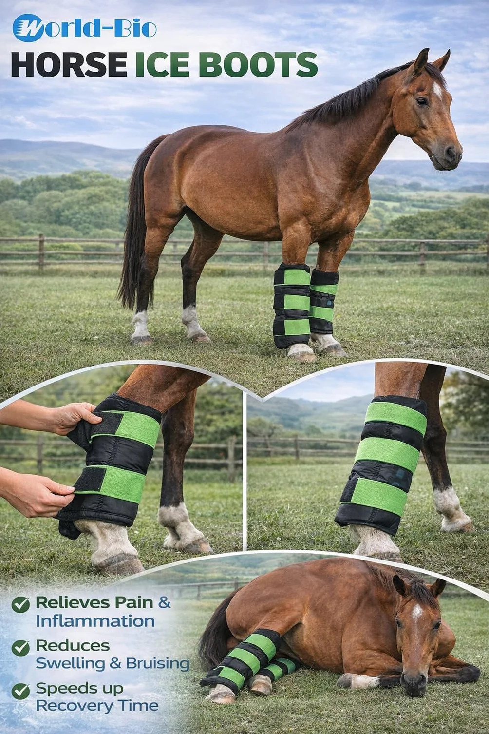 Botas de hielo de caballo para lesiones de caballo, dolor muscular, enfriar las piernas, abrigos fríos para hock, tobillo, rodilla, piernas, botas y pezos, negro verde, 1 par (2 paquetes)