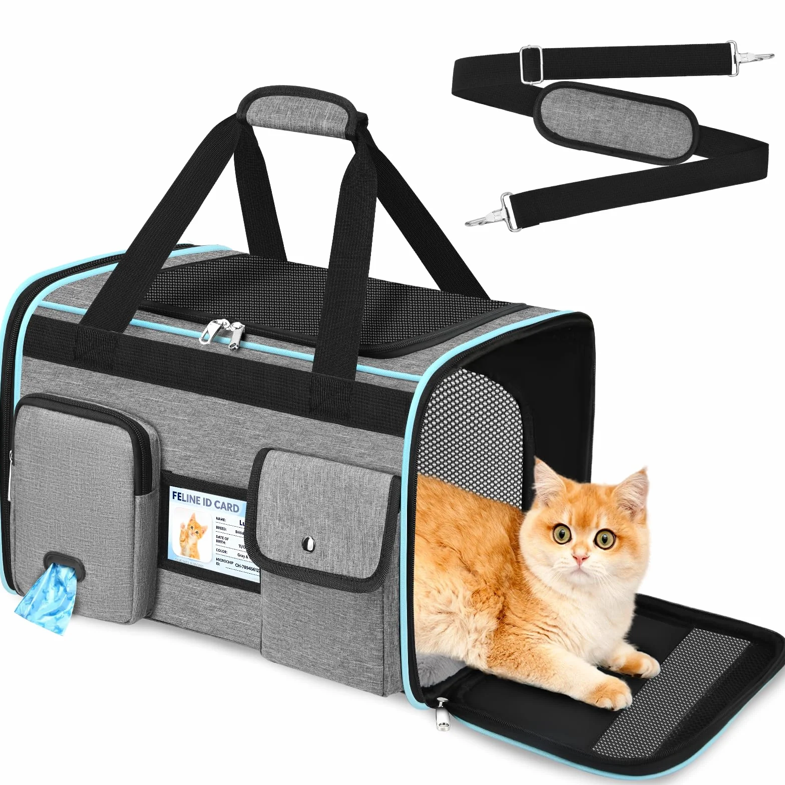 TEUEN Transportín Plegable Aprobado por Aerolíneas - Bolsa Viaje para Gatos y Perros hasta 9kg, 4 Lados de Malla, Tejido Antiarrañazos con Cojín Lavable y Correa de Seguridad