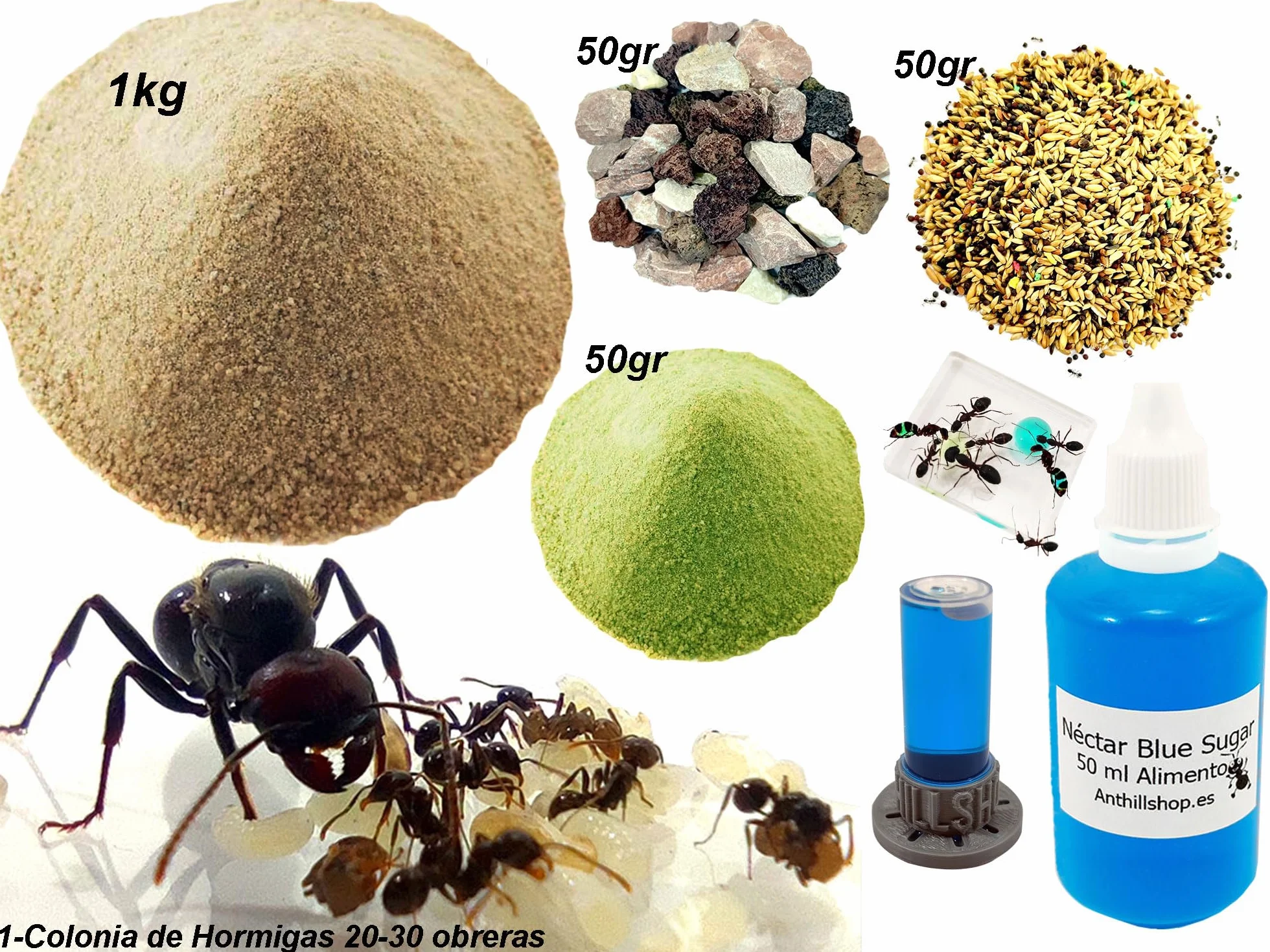 Kit Reemplazo -【Hormigueros de Arena】 -1kg - Néctar 50ml- Colonia de Hormigas Gratis, Piedras Decorativas - Semillas - Kit Alimentación Completa Incluida
