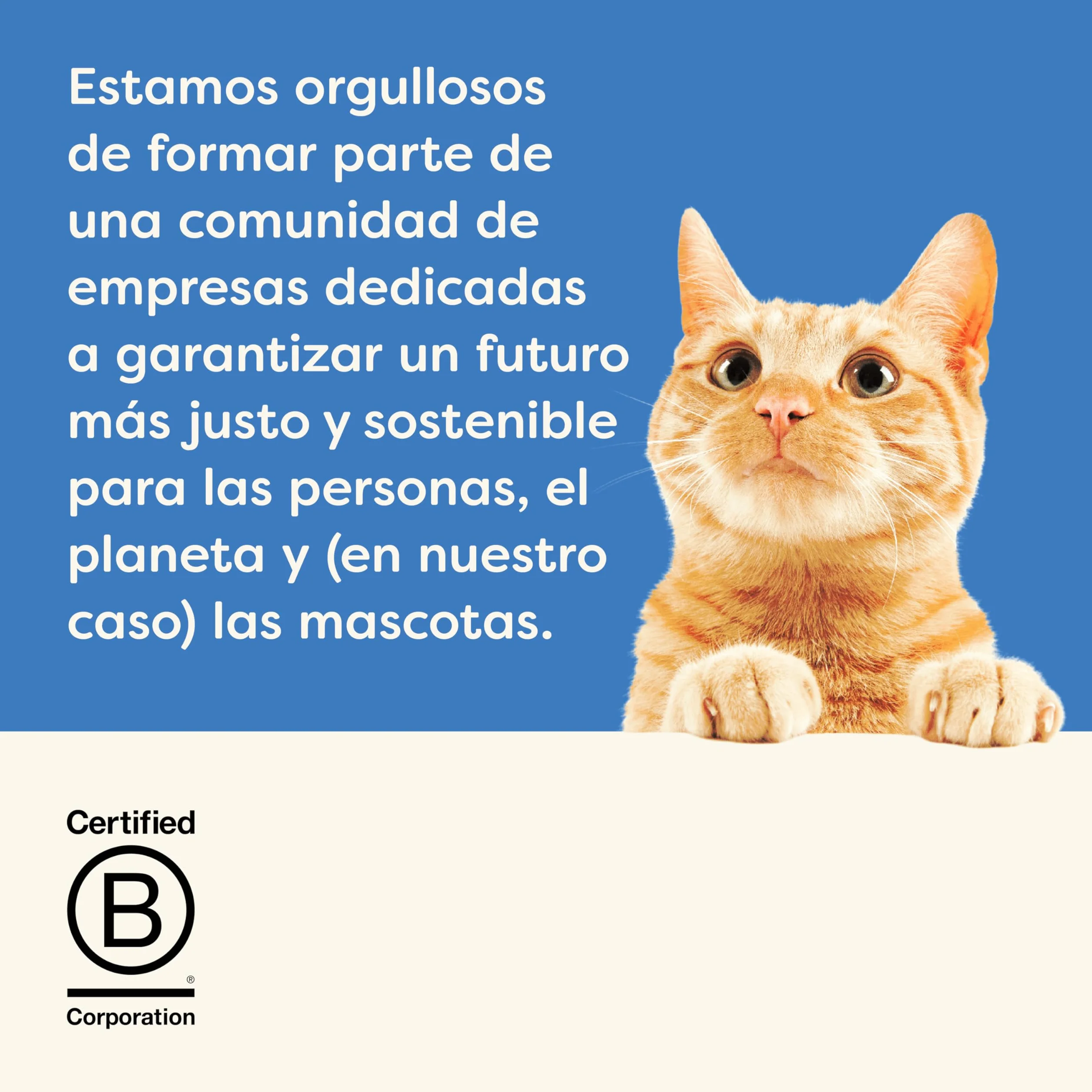 Applaws 100 % Natural Comida húmeda para Gatos Adultos, selección de Pescado en Salsa Multipack, 12 × 70 g latas