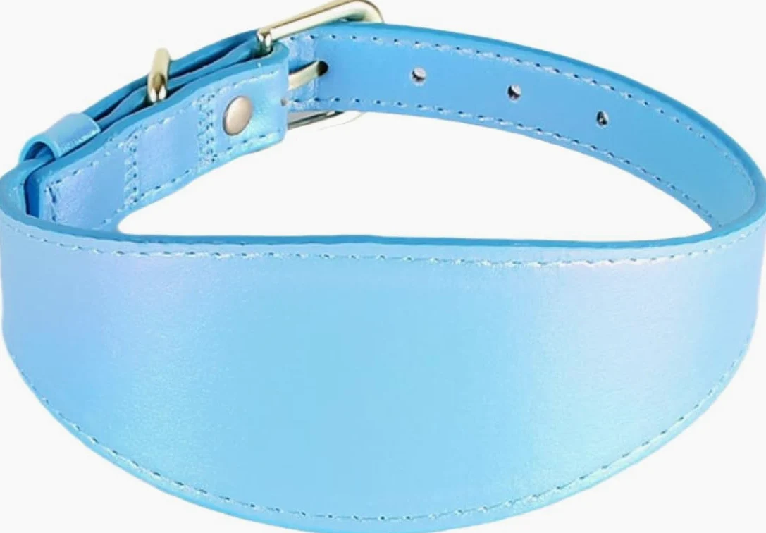 Collar Reflectante de Cuero sintético de Colores for Perros, Suave, Ancho y Resistente al Agua, Personalizado. ，Collar de Perro(Blue,M)