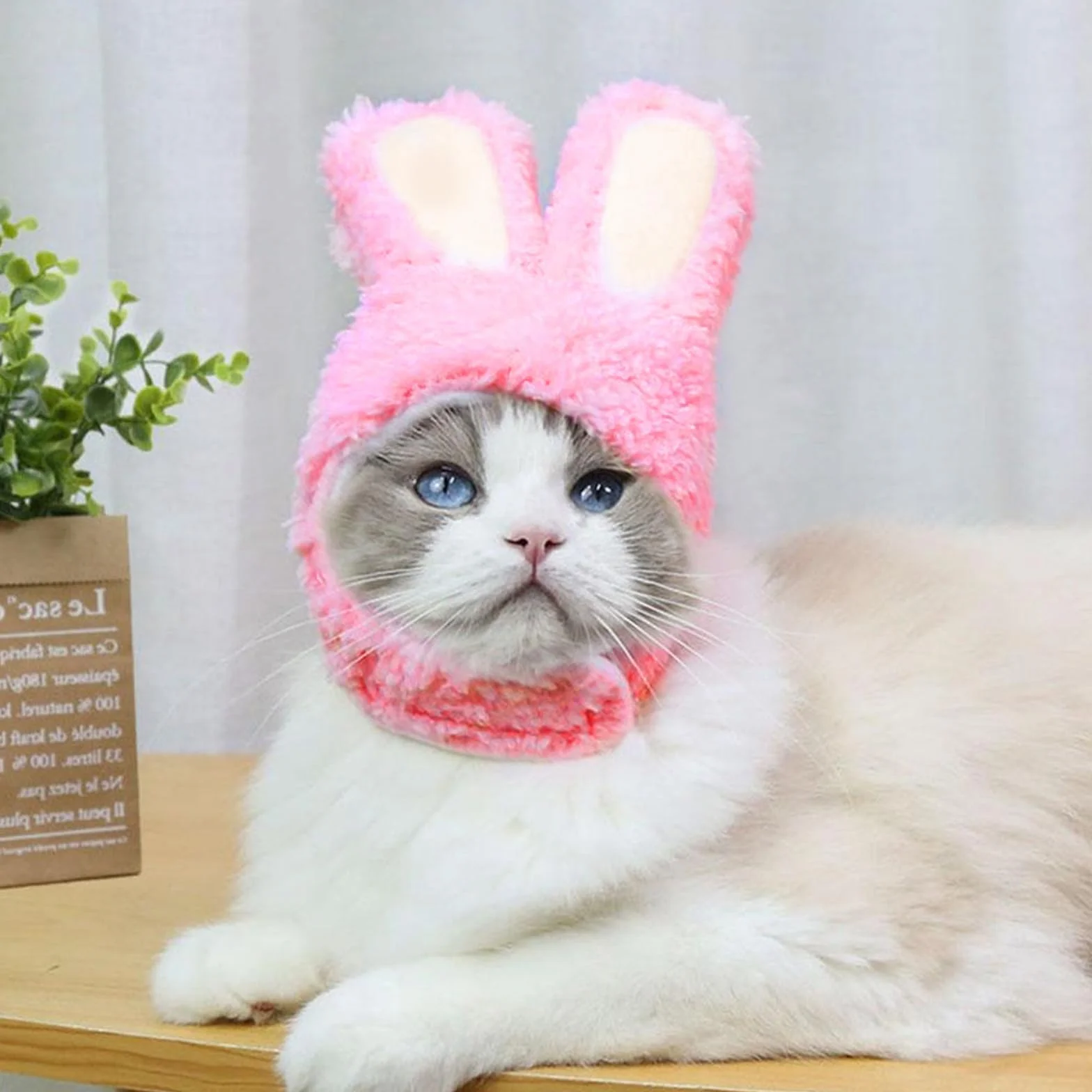 Disfraz de Gato Orejas de Conejo, Gorro para Mascotas Pascua, Apto para Gatos y Perros Pequeños (Rosa)