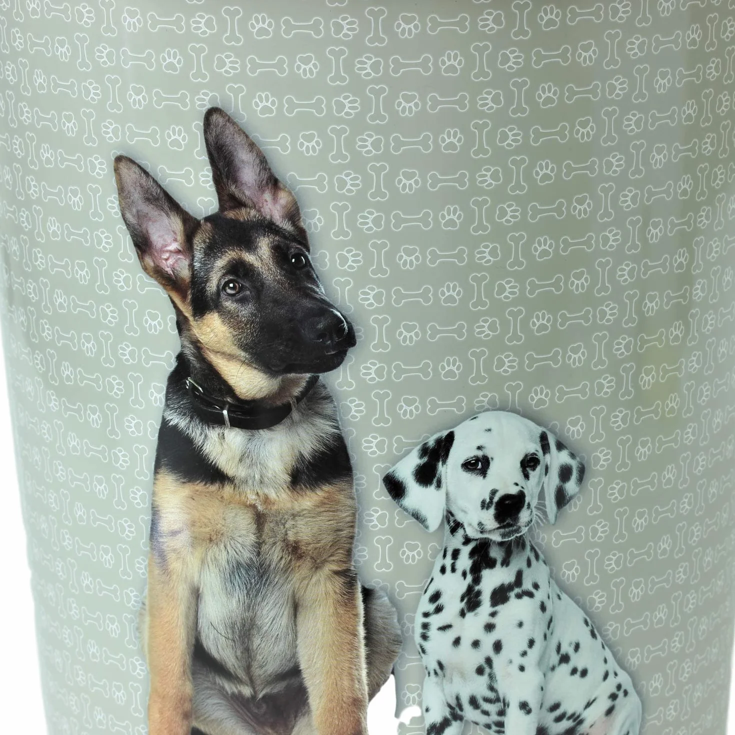 Urban living - Recipiente de plástico para almacenar Comida Seca para Perros (11 L)