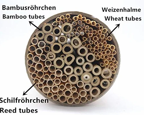 50 tubos de bambú de 10 cm de longitud para construir uno mismo, reutilizables, para casa de insectos, hotel de abejas silvestres, abejas silvestres, hotel de abejas silvestres