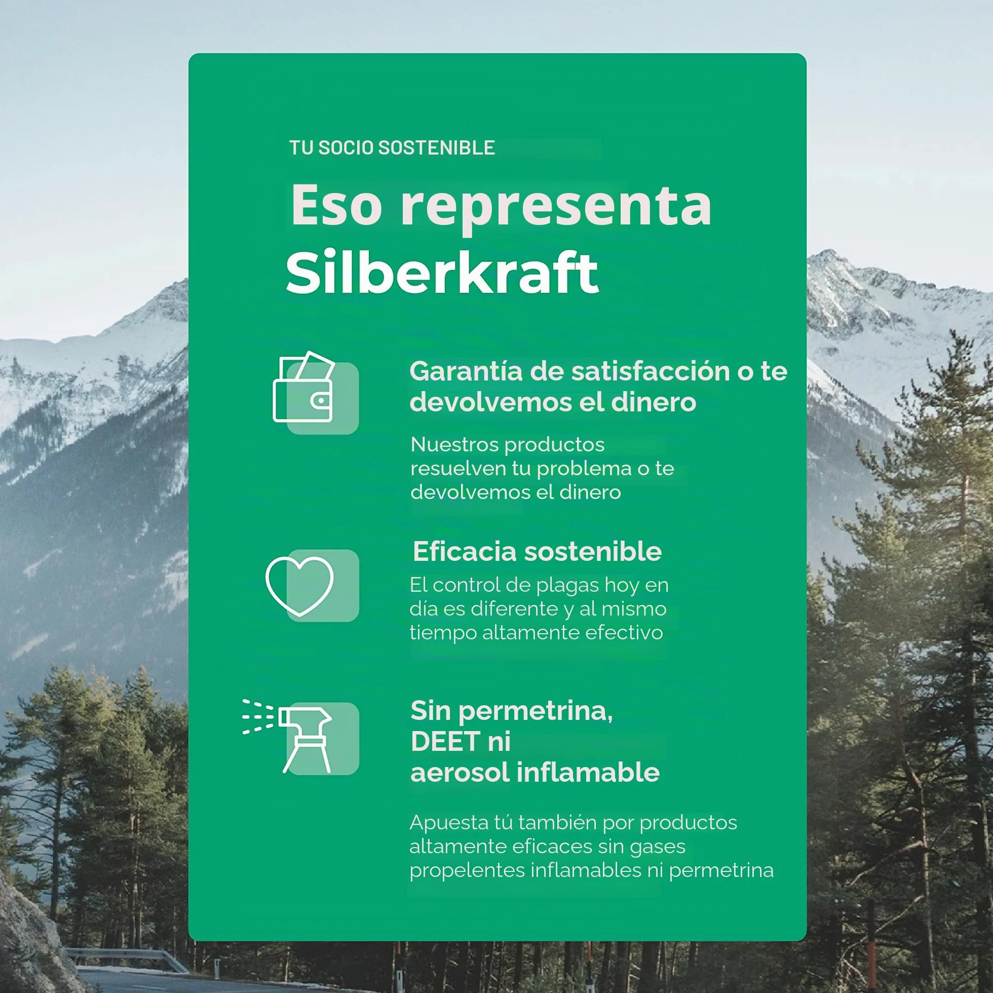 Silberkraft Spray antiácaros para gatos, 500 ml, eficaz antiácaros, para tratar los ácaros del oído, ácaros del gato