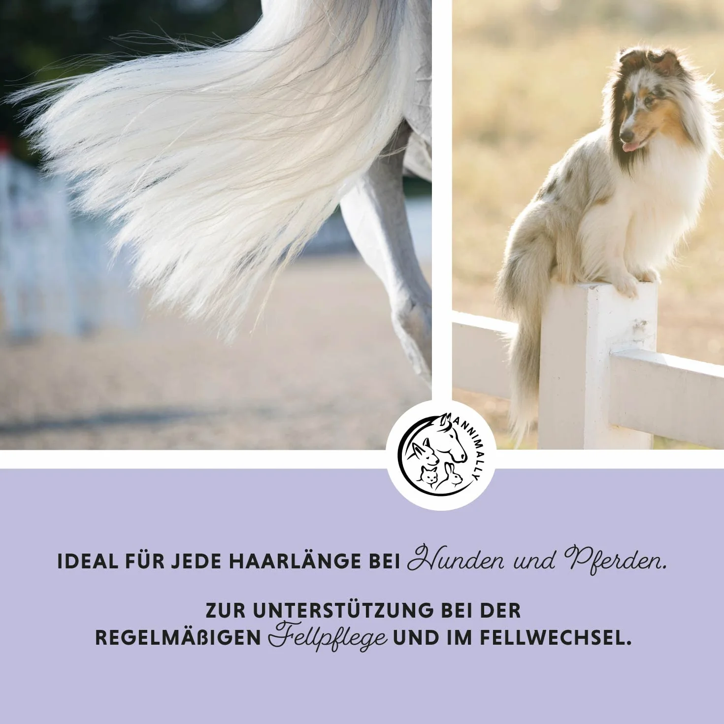 Annimally Spray para Crines para Caballos 500ml - Spray para Cola y Spray para Desenredar para Caballos y Perros, para un Desenredo más Fácil y un Brillo Sedoso del Pelaje