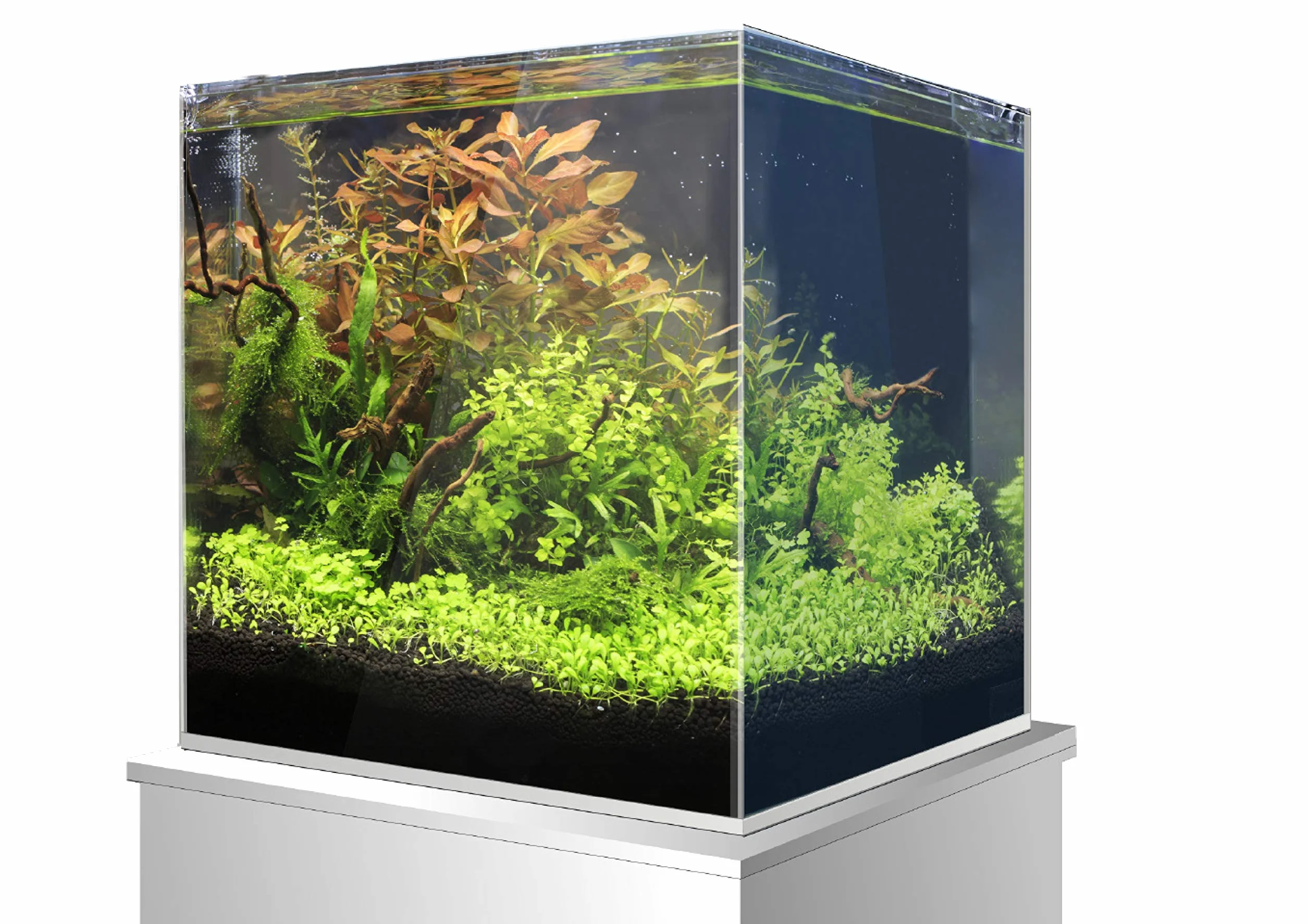 Amtra Nanoscaping - Tanque De Acuario 15 Litros - Caja De Cristal Extra Claro 25X25X25 Cm - Tanque Para Peces Dorados O Como Tortuga Tanque Para Tortugas De Agua Con Tapete Amortiguador Incluido