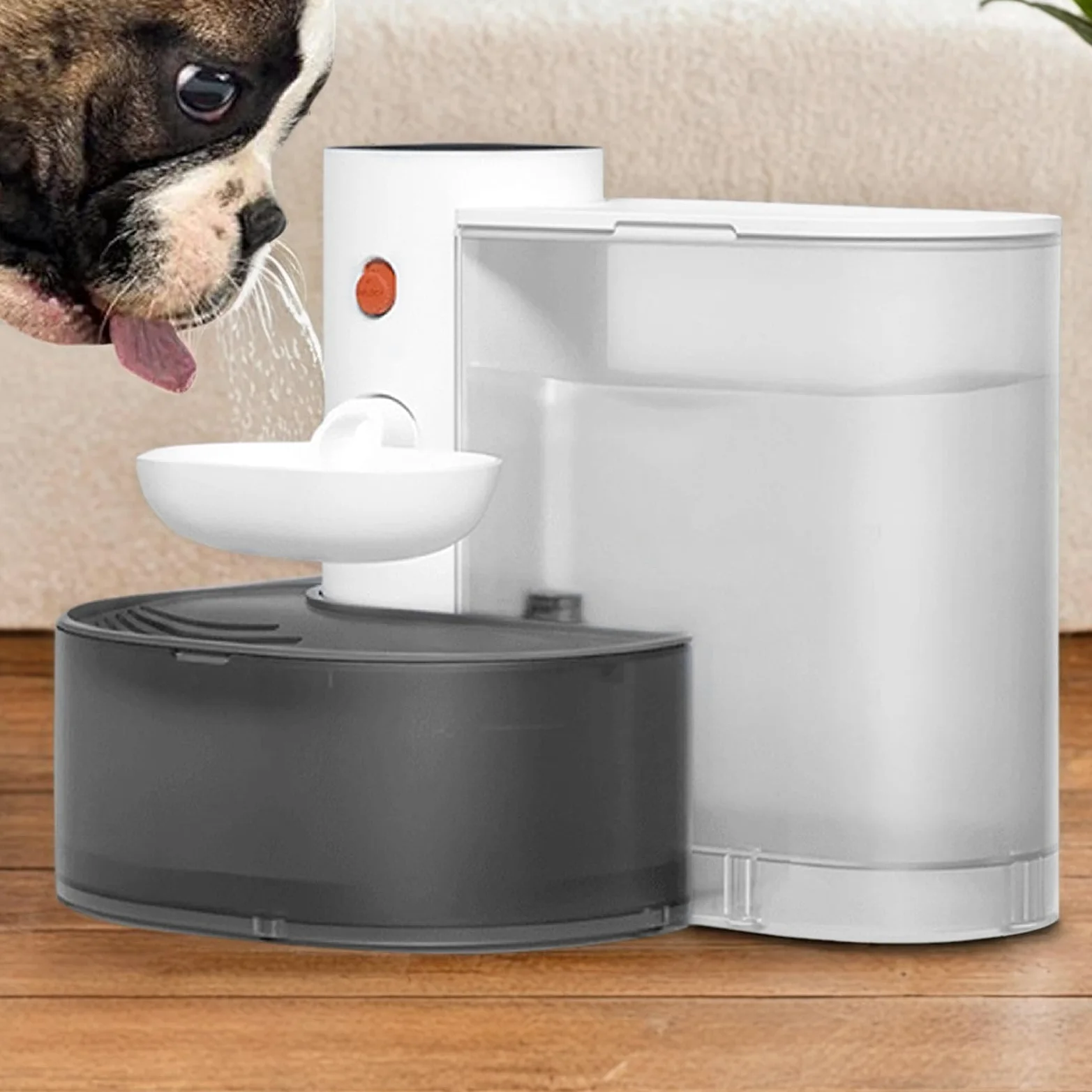 Bebedero automático para Gatos – Bebedero de Acero Inoxidable para Gatos y Perros | Diseñado con un Cuenco de riego de Gran Capacidad Que Proporciona un Suministro Continuo de Agua, un Abreu | Perros | Diseñado con un Cuenco de riego de Gran Capacidad Que
