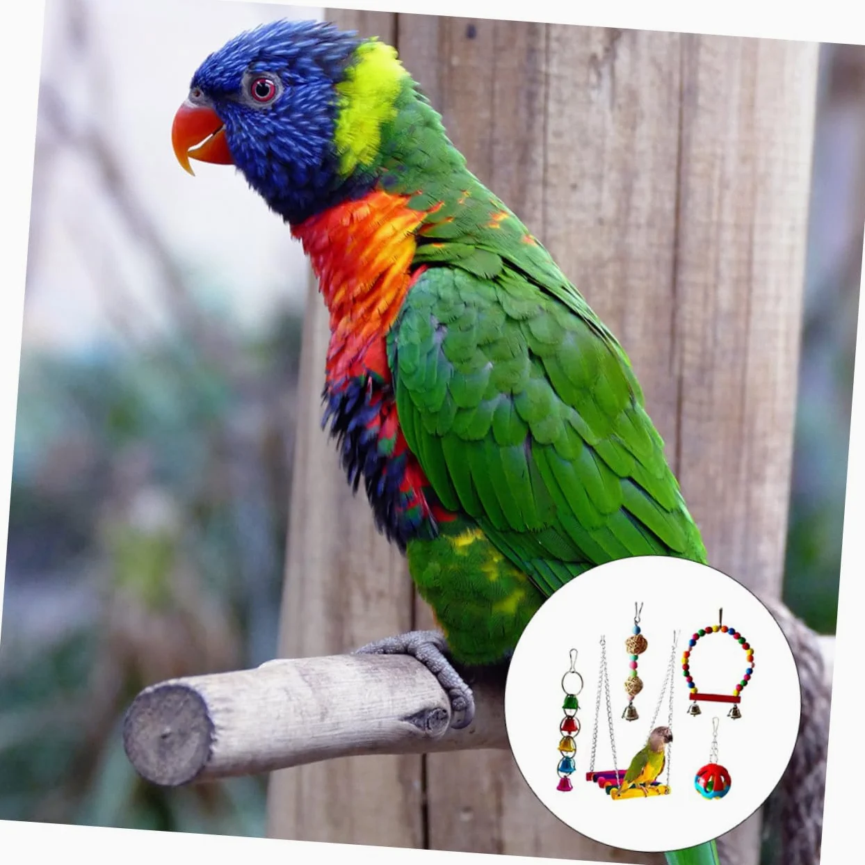 ibasenice 5 Piezas Juguetes para Morder Pájaros Juguete Masticable para Loros Suministros para Mascotas para Loros