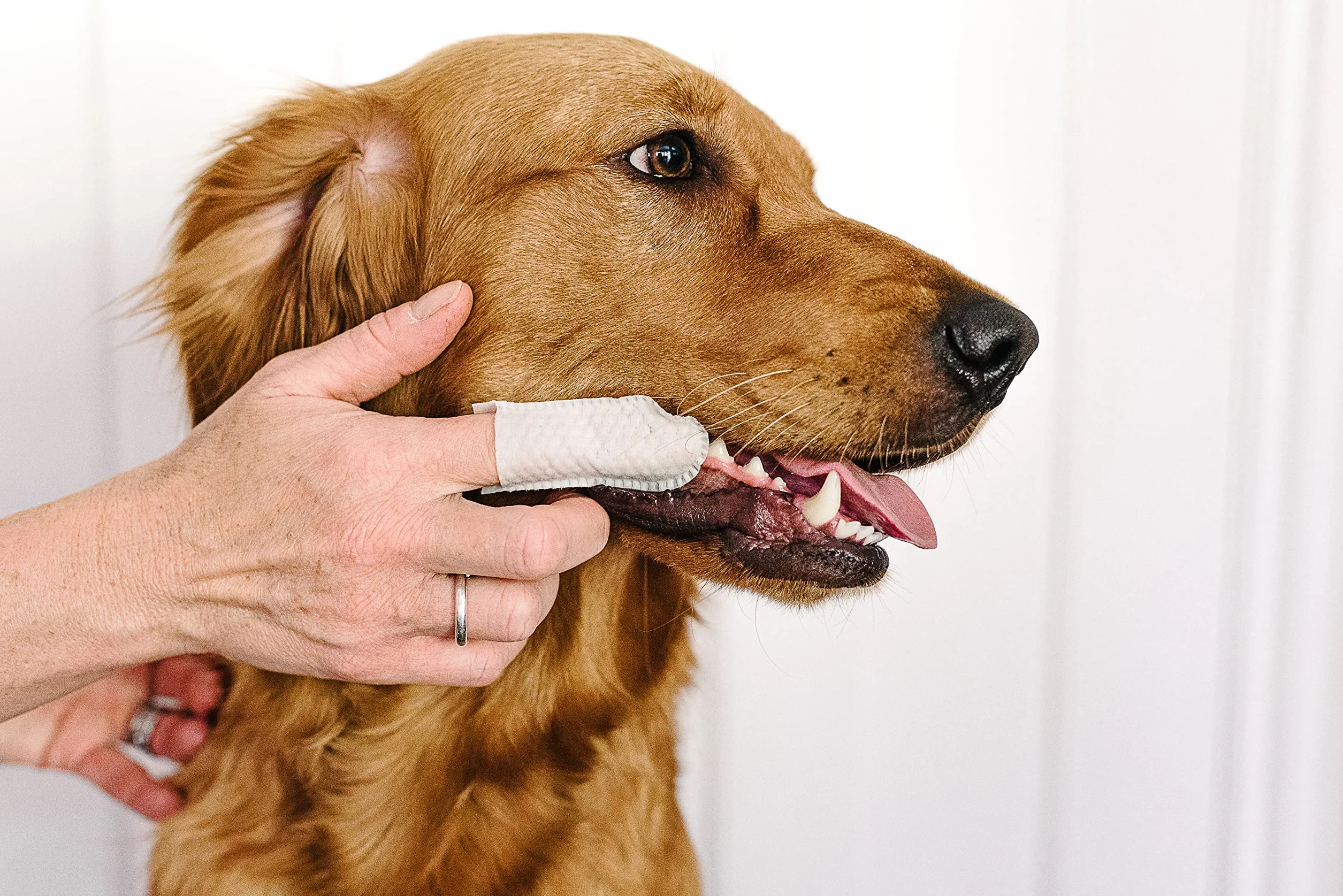 Toallitas dentales para Dedos con Aceite de Menta Verde para Perros y Gatos. Elimina la Placa y el sarro, cuida Las encías y no Requiere Enjuague.