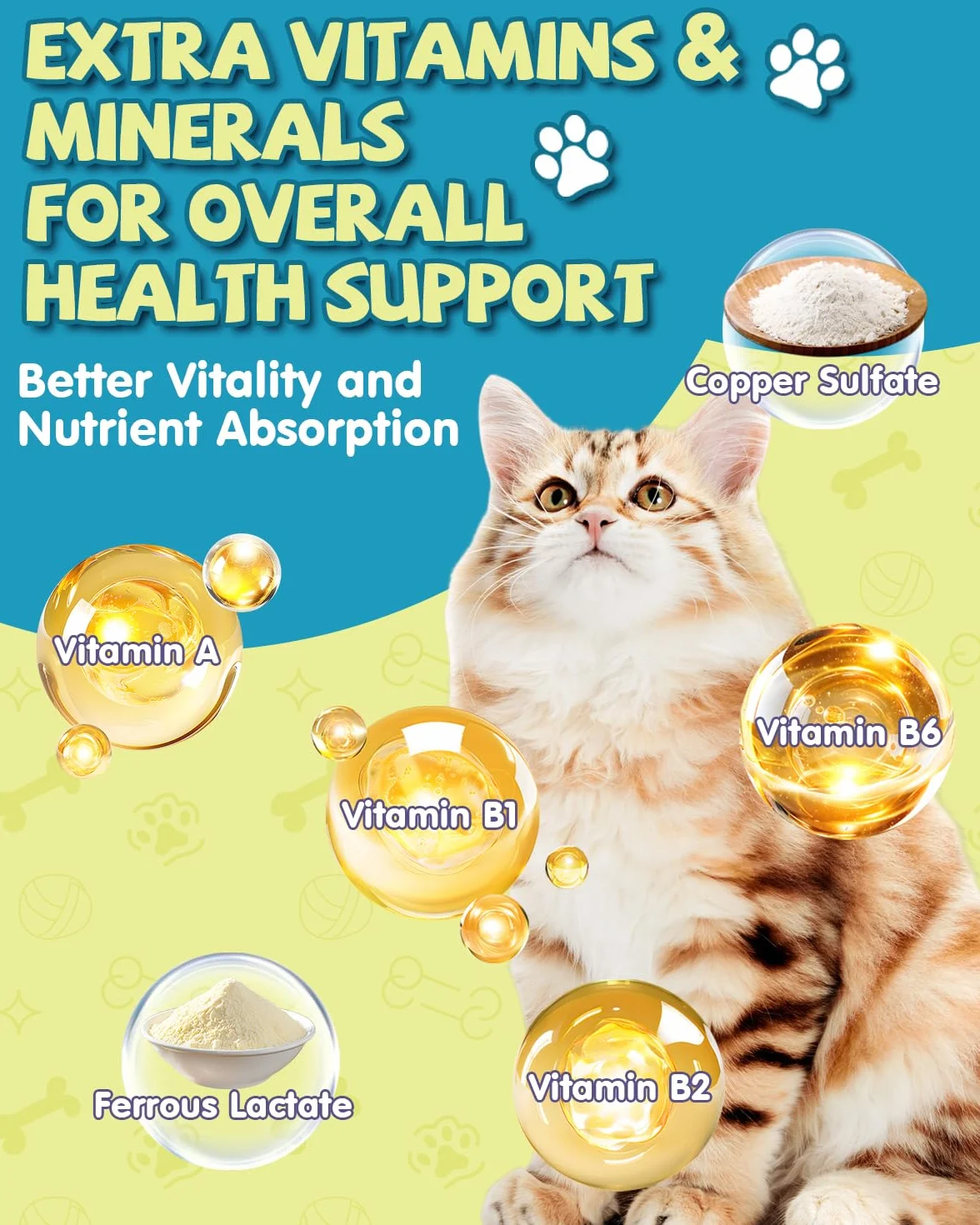 L-Lisina para Gatos - Gotas Lisina para Reforzar Sistema Inmunitario Gatos - Aliviar Alergias en Gatitos, Estornudos, Gripe Felina, Antibióticos para Gatitos con Vitaminas y Minerales, Calostro