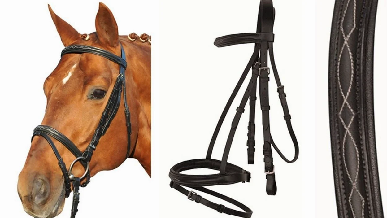 HKM Jana Muserola Inglesa Warz Pony