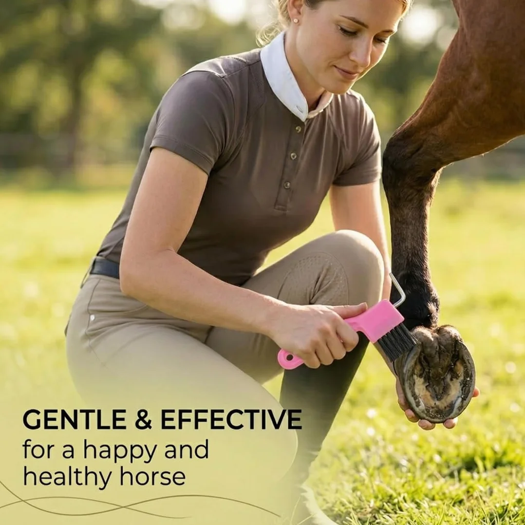 2 Piezas Cuidado de los Cascos del Caballo Raspadores de Pezuñas con Cepillo 2 en 1, Accesorios para el Cuidado de Caballos, Adecuados para Limpiar Pezuñas y Cuidar Pezuñas Suministros