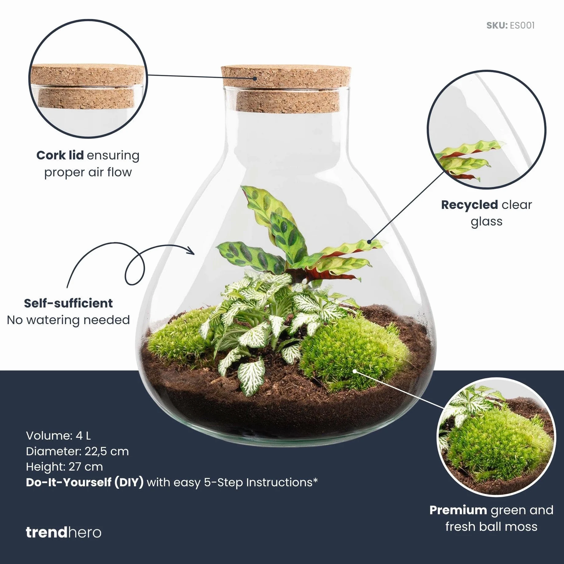 Terrario DIY de Cristal con Corcho, Decoración de Interior, Verde, 27 cm