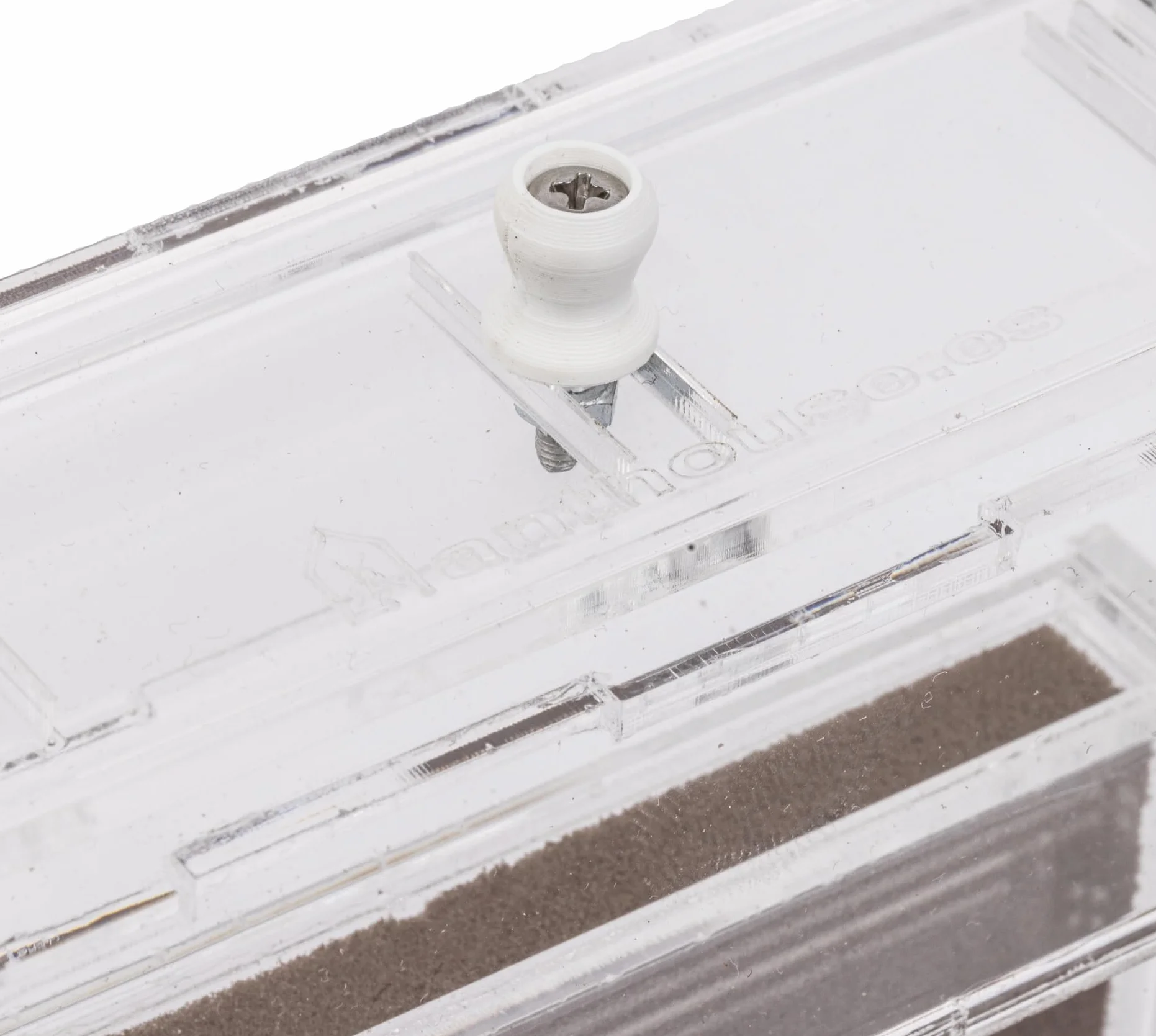 Kit Hormiguero Acrílico de Espuma en Forma de T Mini - Sándwich 14x5x14cm cm y Caja de Forrajeo - Hormiguero con Hormigas Vivas Incluidas (Reina, Obreras, Huevos y Larvas) - Transparente
