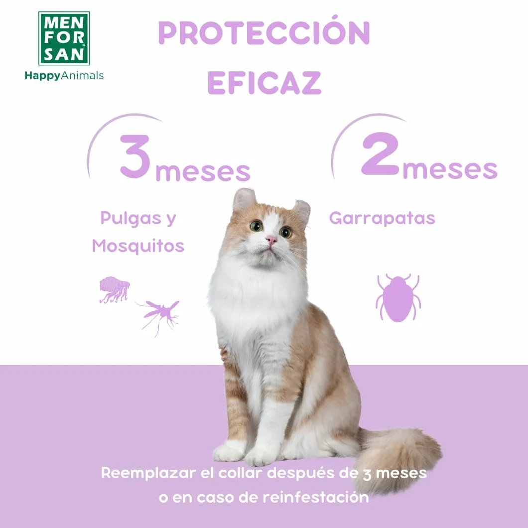 MENFORSAN Collar luminiscente Anti-Insectos para Gatos, con Tres repelentes Naturales Margosa, Geraniol y Lavandino, Cítrico, Verde, 30 cm