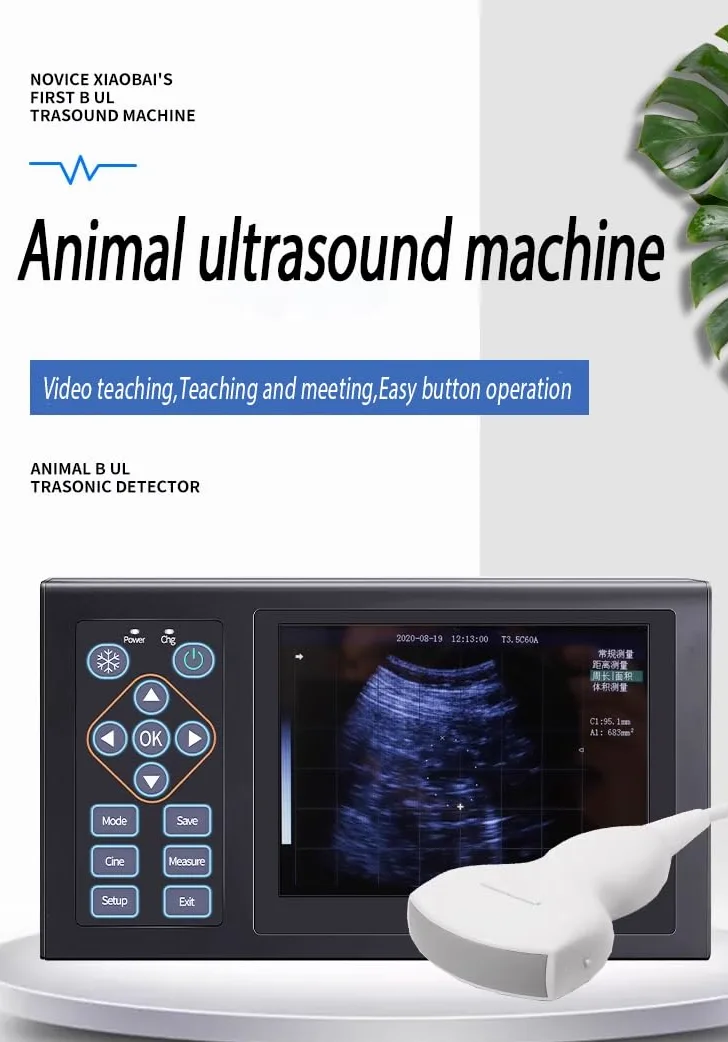 16 HD Máquina de ultrasonido veterinario pseudocolor, escáner de 5.0 MHz para detección de embarazo en cerdos, ovejas, perros, gatos