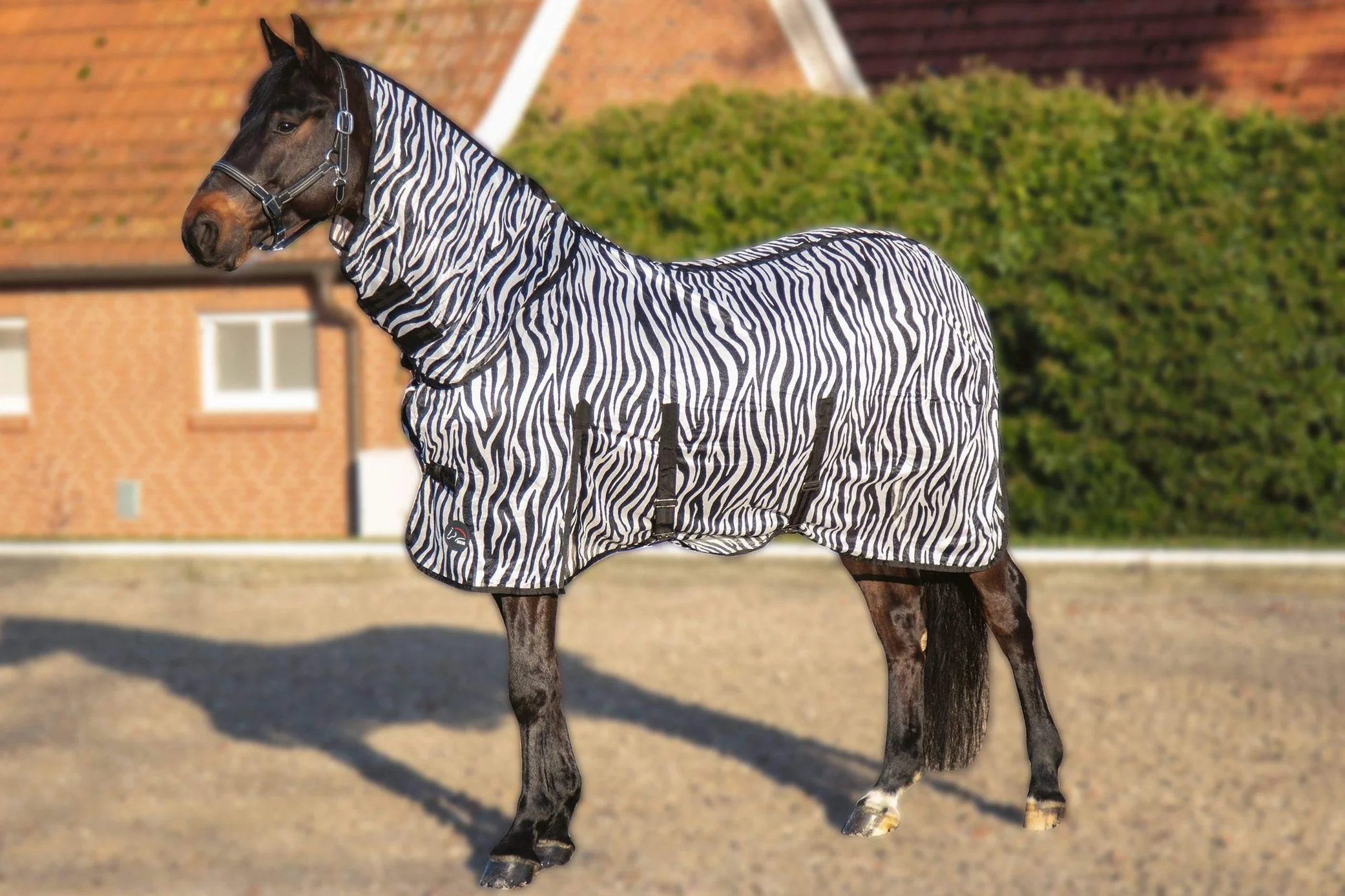 HKM Zebra Manta Anti-Moscas con Cuello con cinturó Blanco/Negro 165