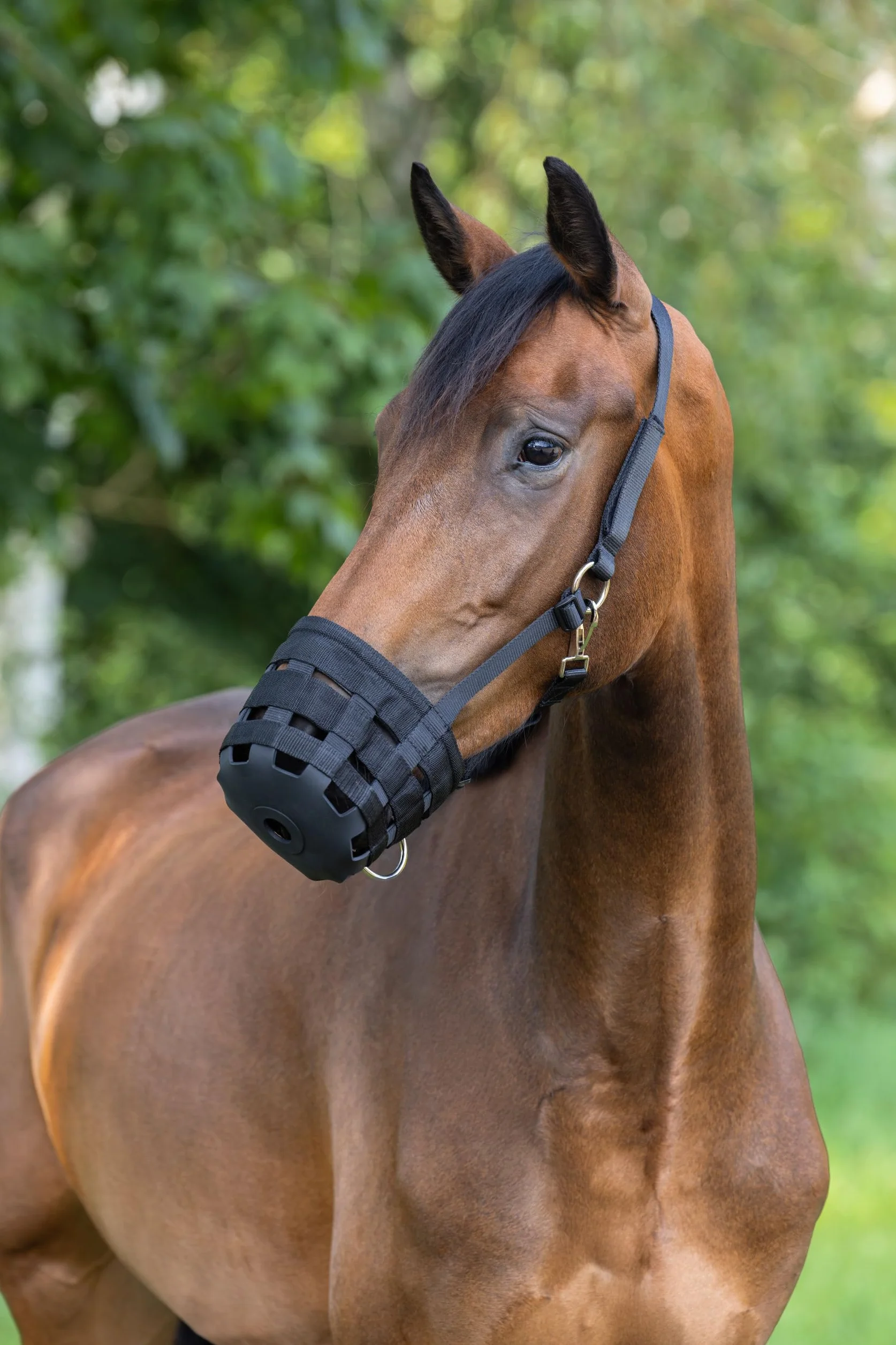 Kerbl Covalliero Bozal, bozal de pastoreo, Negro, Full, Caballo, con Refuerzo, fácil de Colocar
