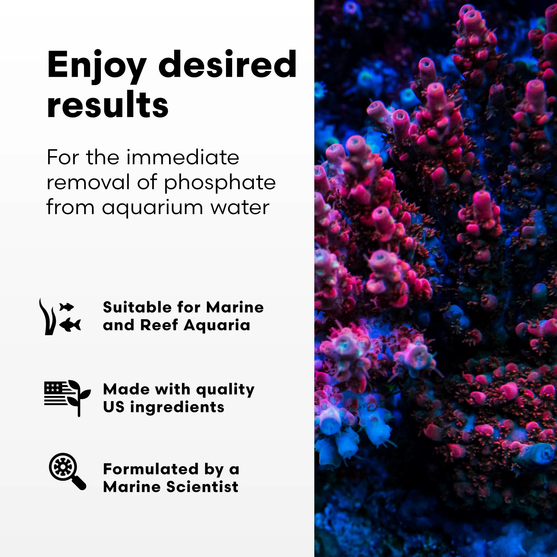 Brightwell Aquatics Phosphat-E - Eliminador de fosfato líquido para acuario de peces marinos y arrecifes, 4 l