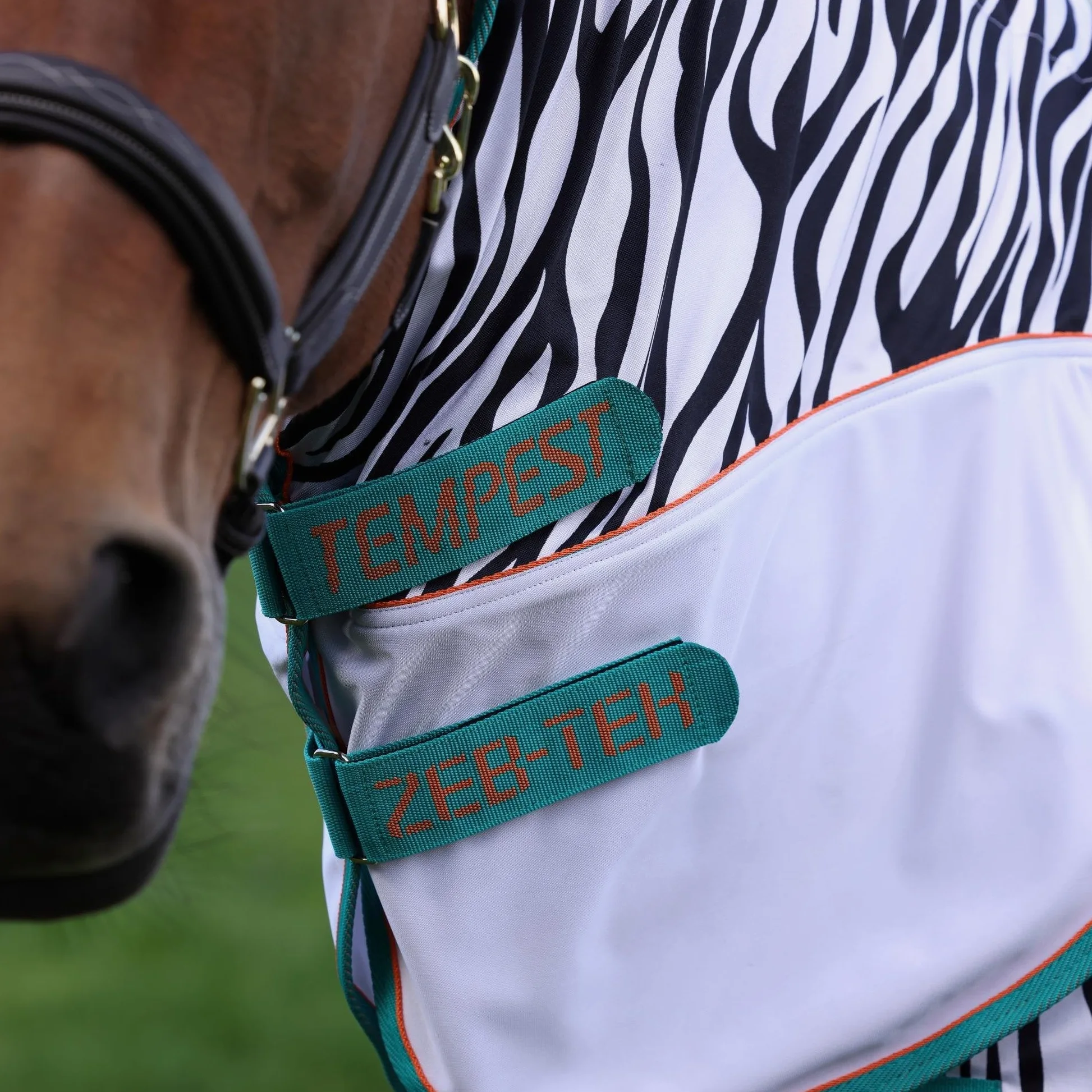 Shires Tempest Zebra Pony/caballo volar para caballos, diseño de cebra: 5 ft3 "