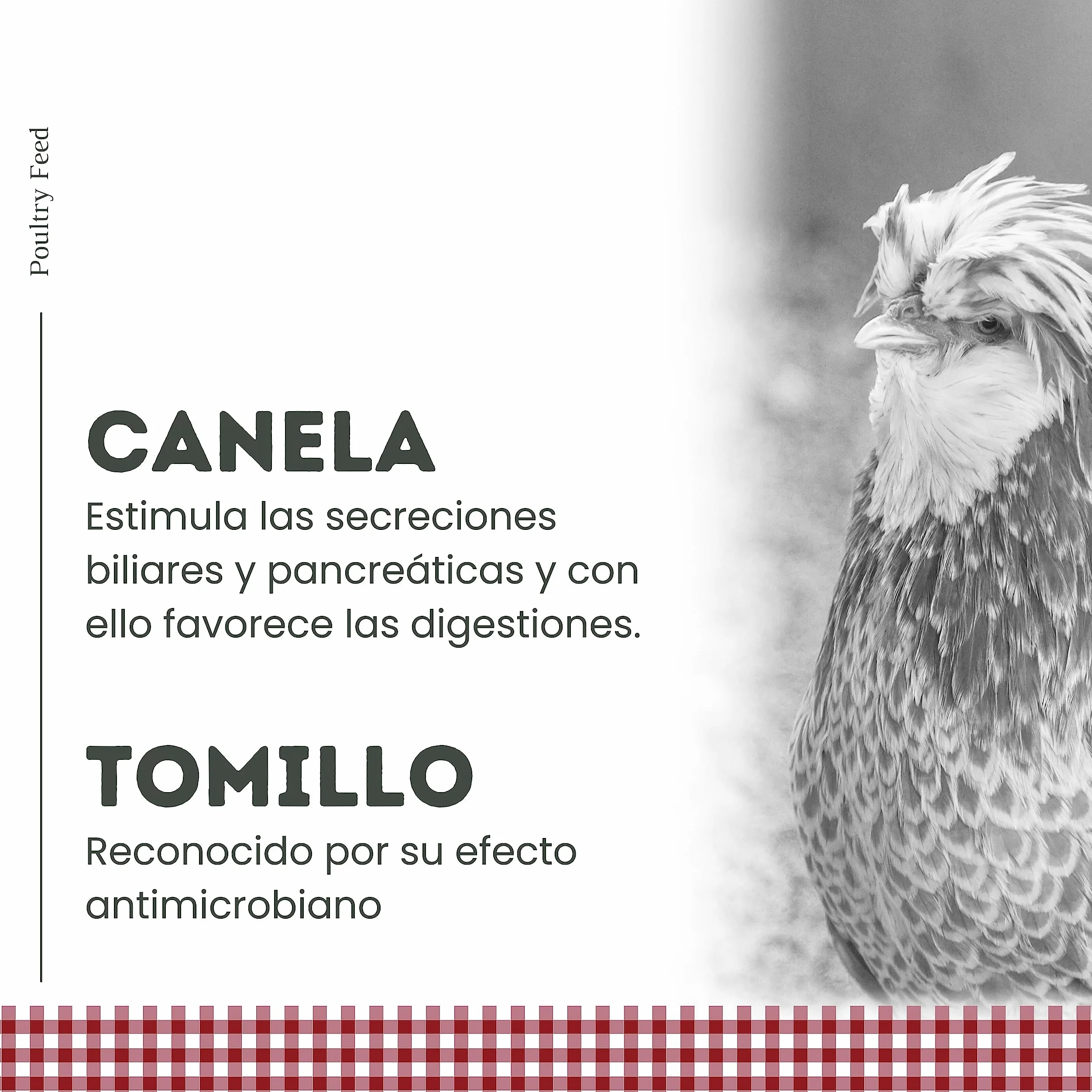 Pienso para Gallinas Ponedoras y Ornamentales | Alimento con Fórmula Exclusiva | Poultry Feed Saco 25 kg | Rico en Proteínas y Grasas Saludables para un Plumaje Vistoso (Pack 6)