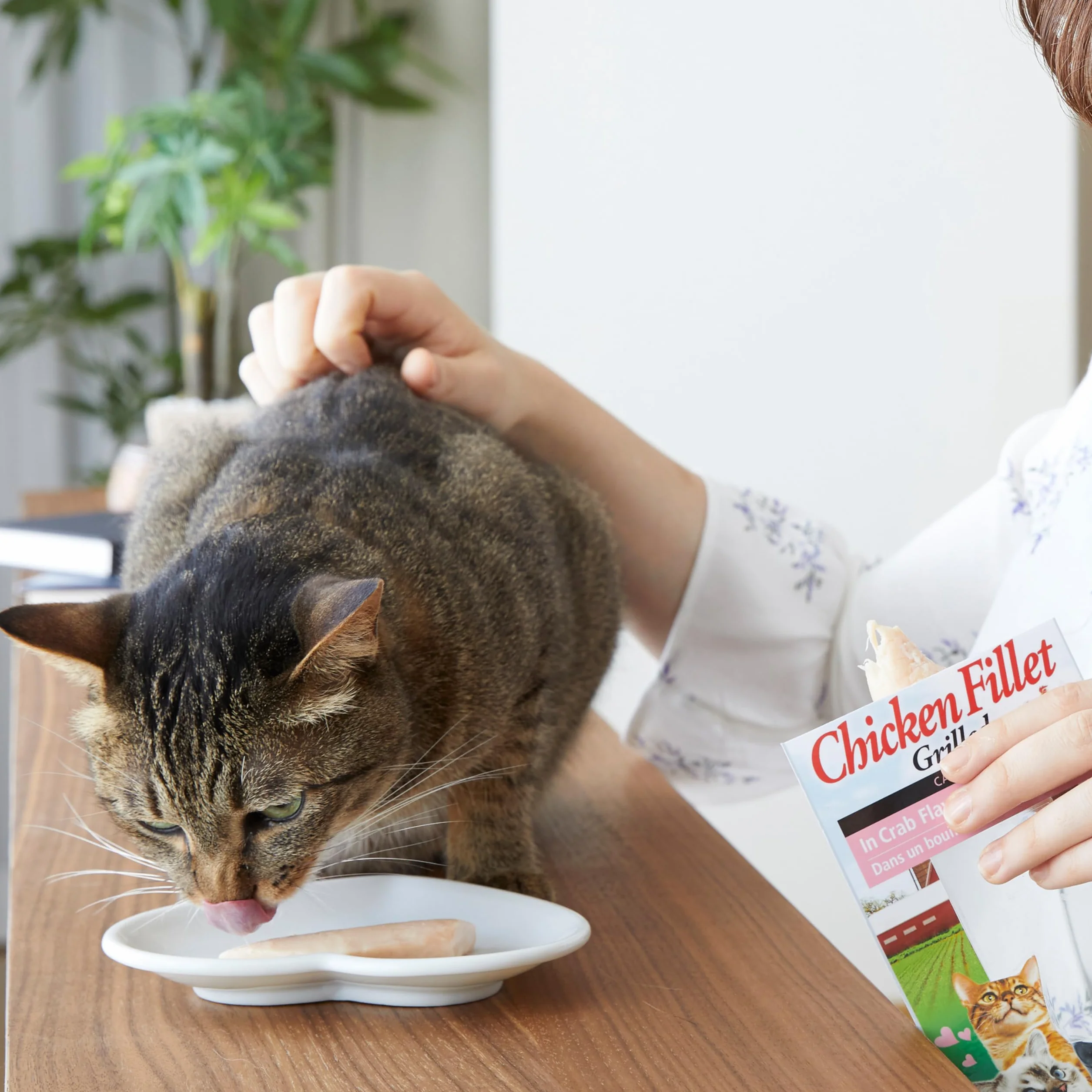 INABA Filete de Pollo a la Parrilla - Golosinas de Filete de Pollo - Caldo Sabor Vieira - Snack Felino Rico en Antioxidantes a la Parrilla - para Gatos - 1 Filete 25g