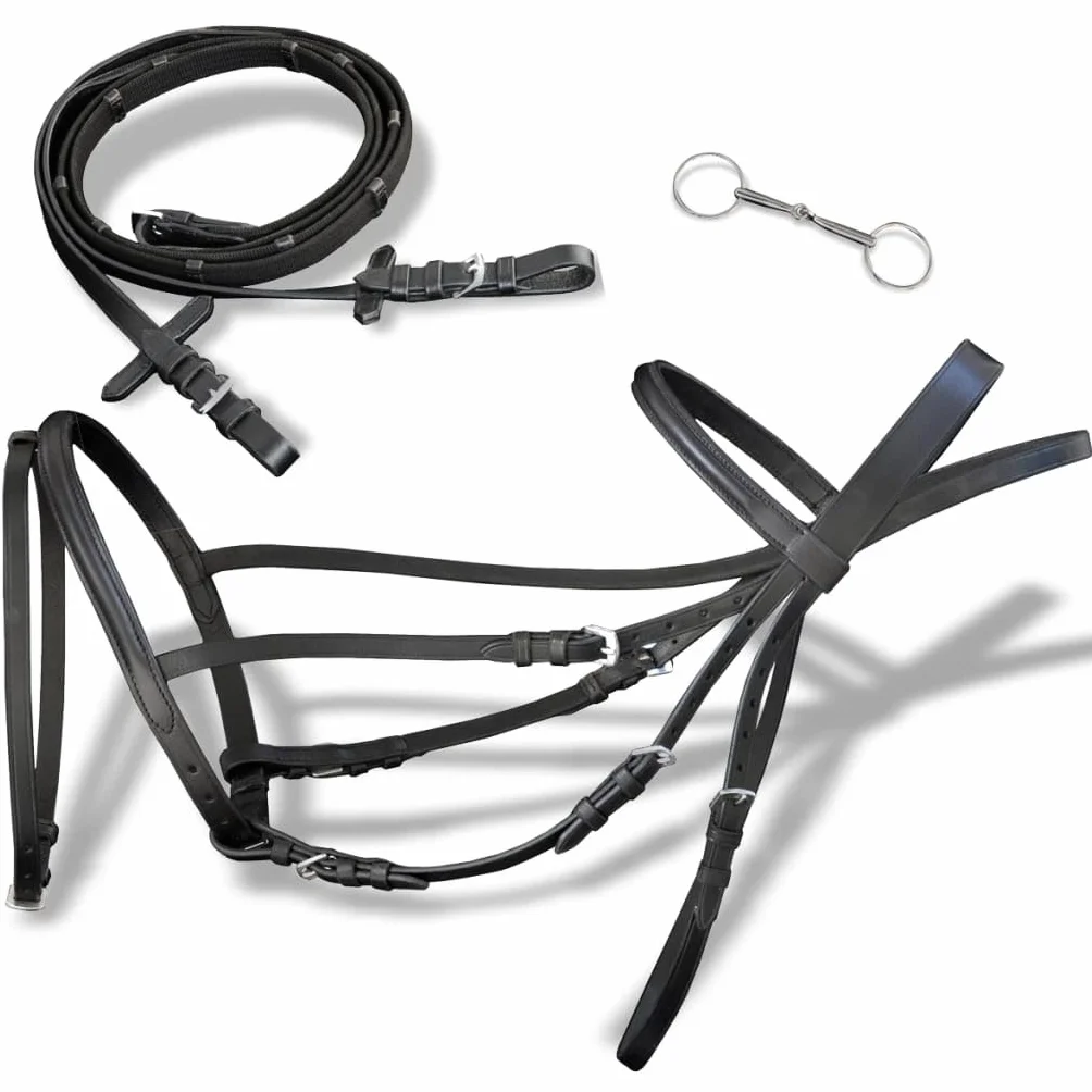 Trense - Brida de piel de búfalo acolchada con cabestro para equitación, ideal para entrenamiento de doma y saltos, color negro