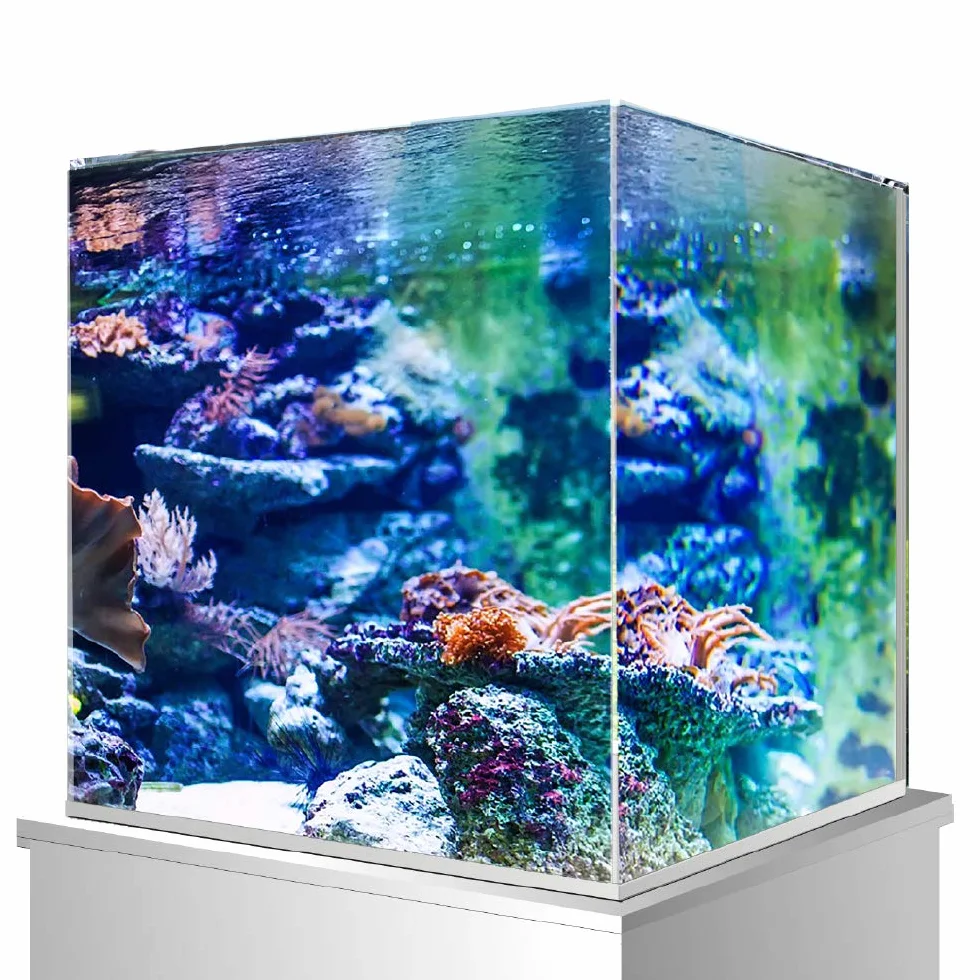 Amtra Nanoscaping - Tanque De Acuario 15 Litros - Caja De Cristal Extra Claro 25X25X25 Cm - Tanque Para Peces Dorados O Como Tortuga Tanque Para Tortugas De Agua Con Tapete Amortiguador Incluido