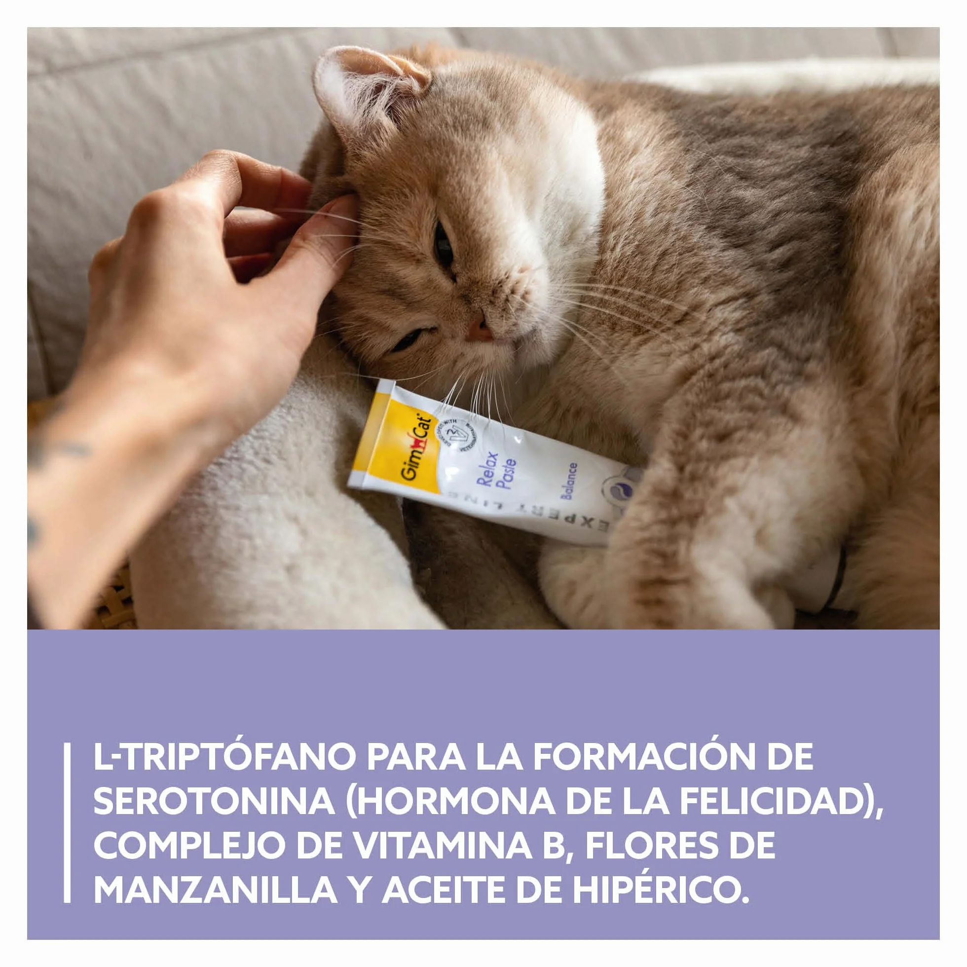 GimCat EXPERT LINE Relax pasta - Snack para gatos funcional que favorece la relajación y el bienestar del gato - 1 tubo (1 x 50 g)