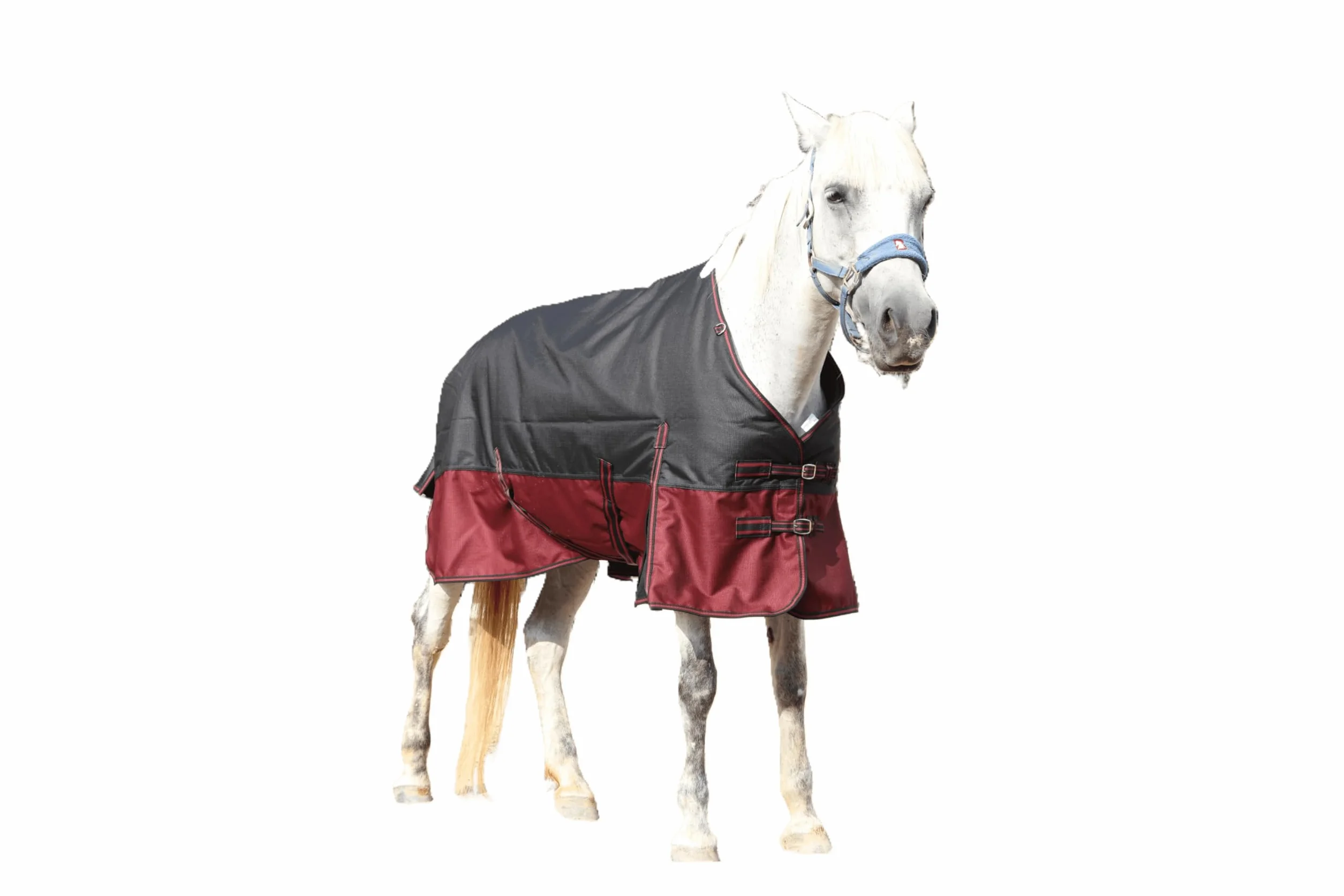 LEAFOREST Manta de caballo resistente 1200D, 200 g/m², acolchada, impermeable, transpirable, para exteriores, fácil de limpiar, para caballos, manta de invierno, color rojo negro, 145 cm