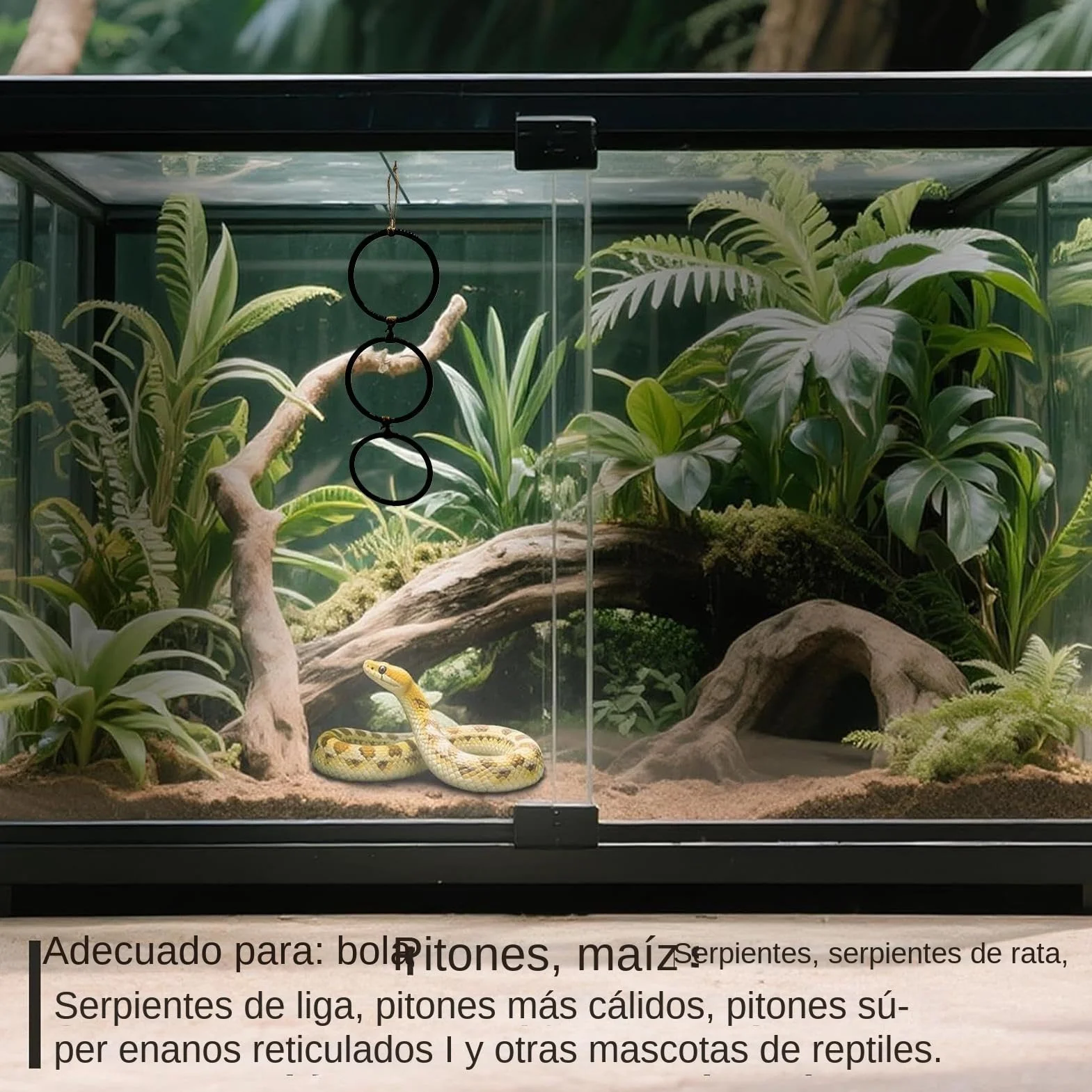 Juguetes De Enriquecimiento para Serpientes - Accesorios para Hábitat De Reptiles,con Aro Y Cadena Juego Interactivo para Anfibios Y Hábitat Interior para Mascotas