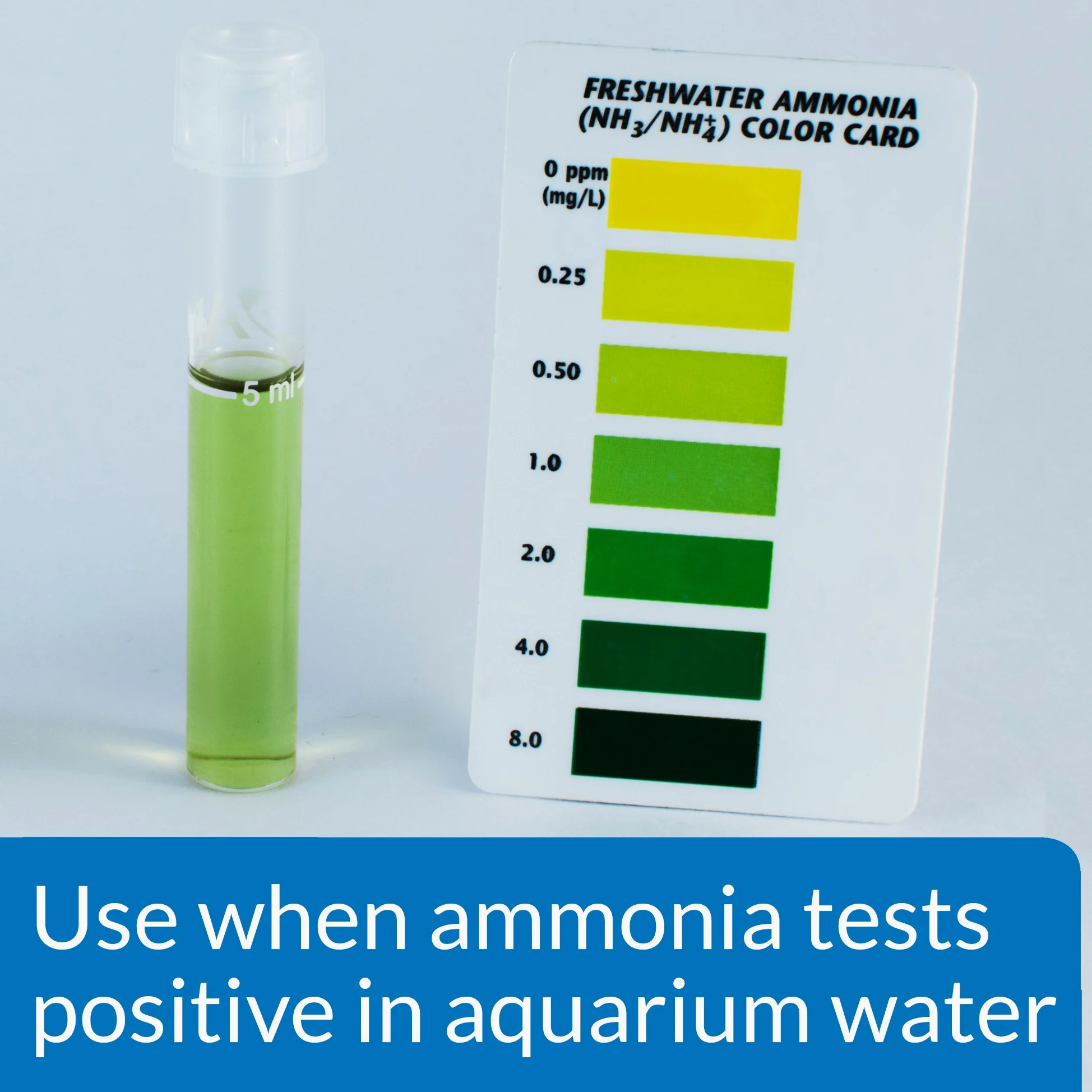 API Ammo Lock - Acuario de agua dulce y salada, desintoxicante de amoníaco, botella de 1 galón