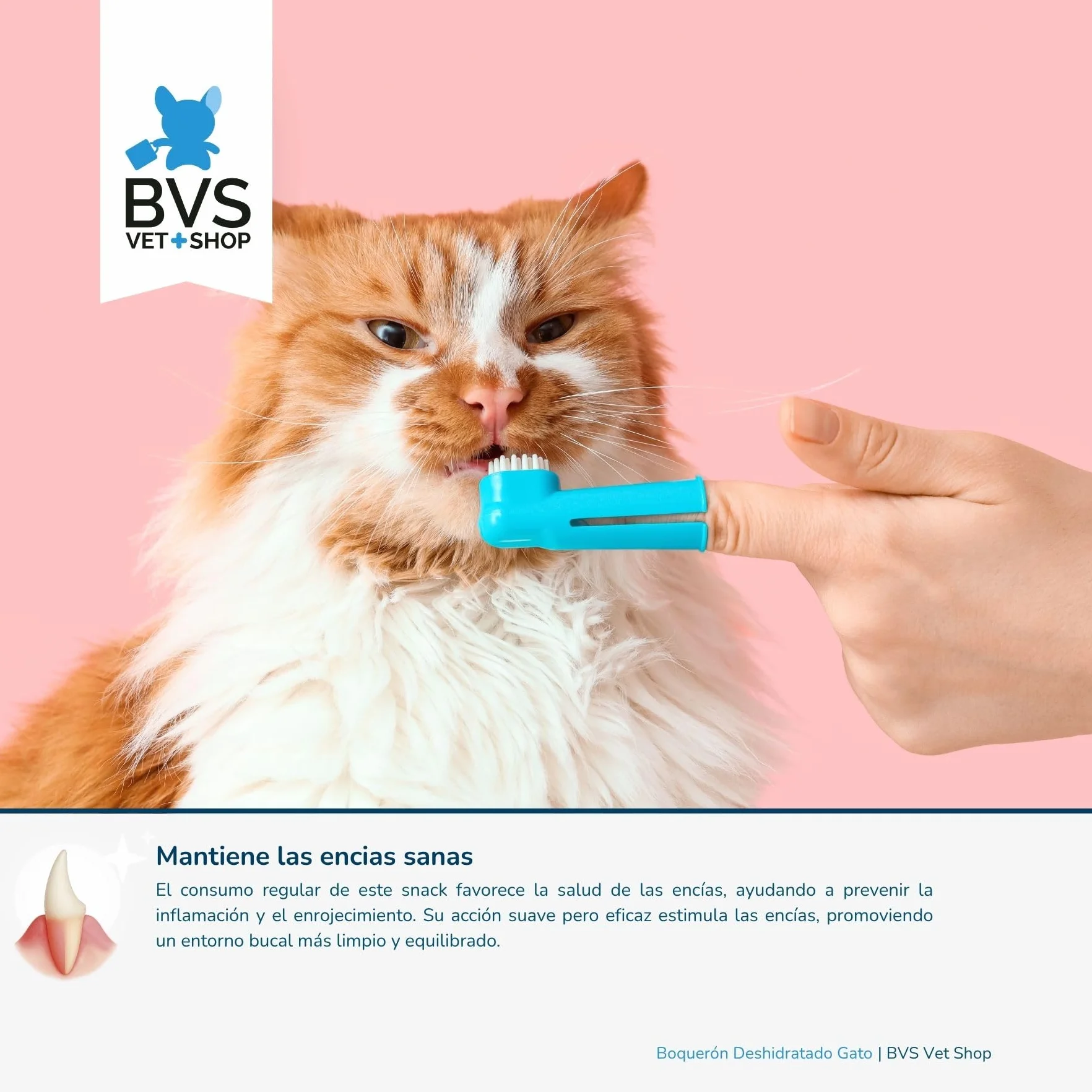 BVS Vet Shop | Boquerón Deshidratado para Gatos | Ayuda a Mantener una dentadura Sana y una higiene bucodental óptima | 60 gr