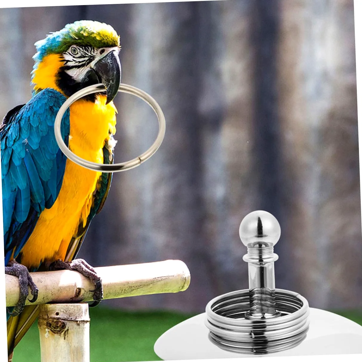 VANZACK 4juegos Juguete De Entrenamiento De Inteligencia para Aves Bicicleta y Anillo Interactivo para Periquitos y Loros para Estimulación Mental y Diversión Educativa