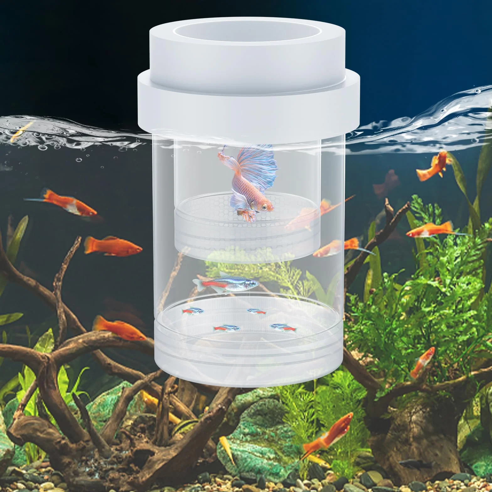 Pawfly Caja de Cría para Acuario, Pecera de Reproducción Flotante para Guppys, Separador para Alevines, Incubadora de Plástico para Camarones, Betta y Pez Payaso, Mediana