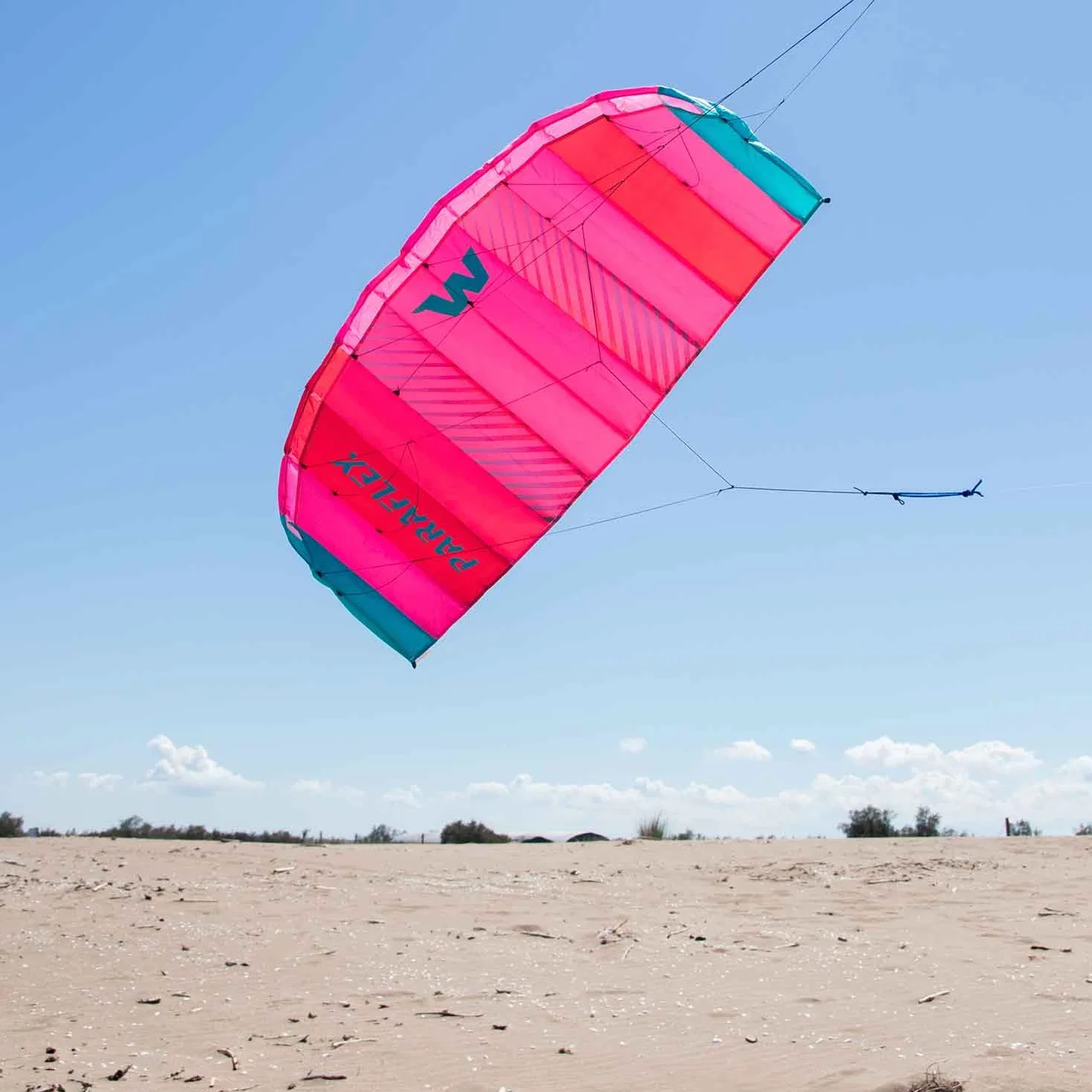 Wolkenstürmer Paraflex Basic 1.2 Cometa Pilotable, Poliéster Ripstop 70D, Rosa, 120 cm, 14 años, 2 líneas 45 kg