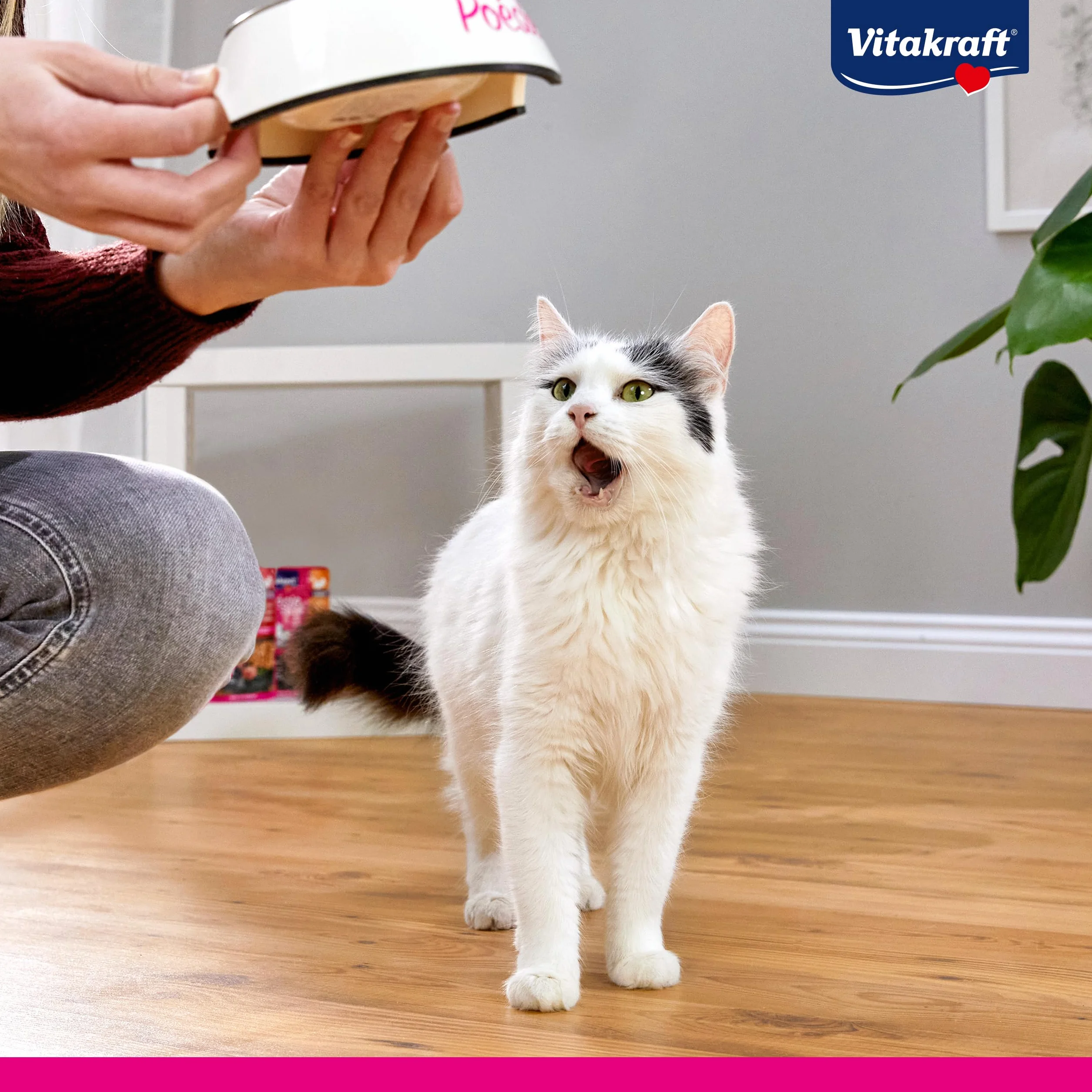 Vitakraft Poésie Création, Tender Selection, Comida húmeda para Gatos, Comida húmeda en Salsa para Gatos, con Pollo, con Pavo, con Ternera, sin azúcar añadido ni Cereales (1 Paquete de 6X 85g)