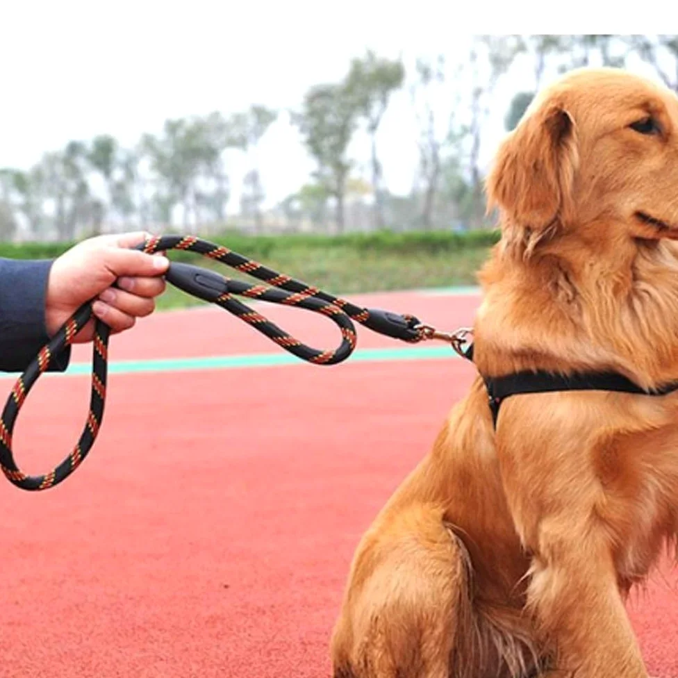 BAtlam Cadena para Mascotas Cuerda de tracción Cinturón de tracción Arnés para el Pecho Perro de tamaño Mediano Suministros para Mascotas Cuerda de tracción (Color : B) (A)
