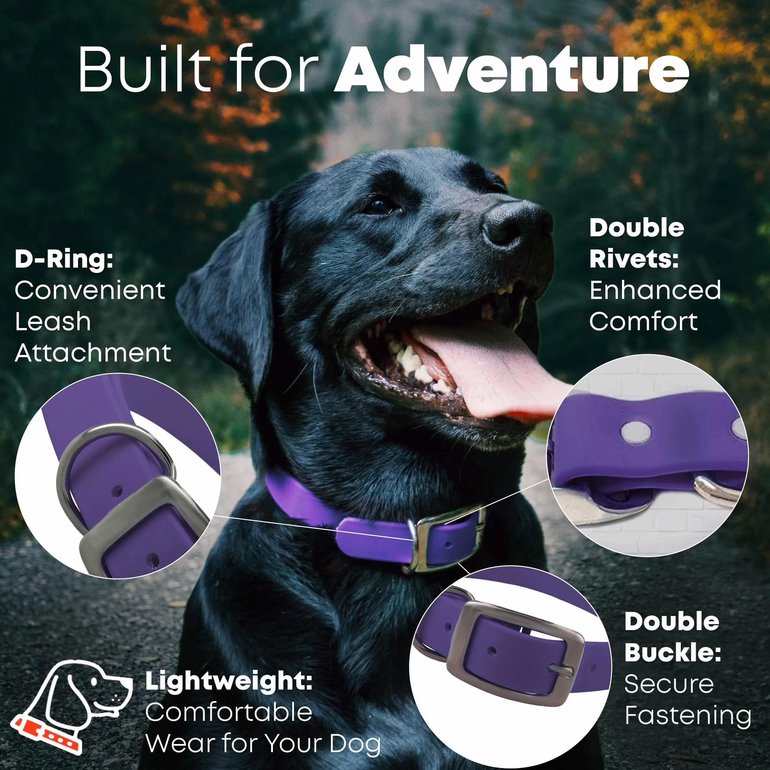 Regal Dog Products Collar de Perro Impermeable Morado - Correas revestidas de Vinilo de Ajuste Personalizado, Hebilla Doble y Anillo en D para Perros pequeños o Cachorros