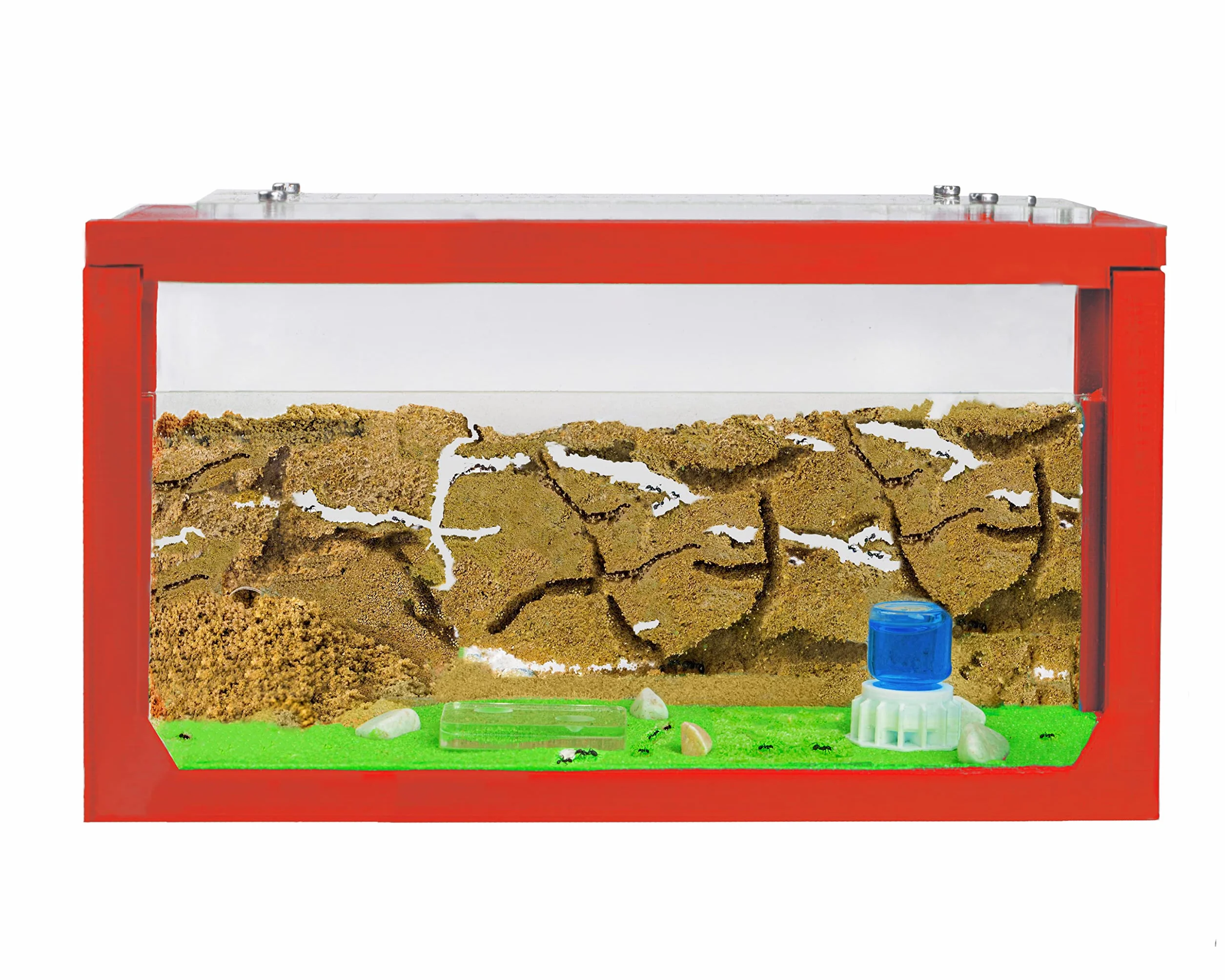 AntHouse.es - Hormiguero de Arena 3D | Kit de Inicio 20x10x10 cm | Granja de Hormigas Color Blanco | Hormigas Incluidas