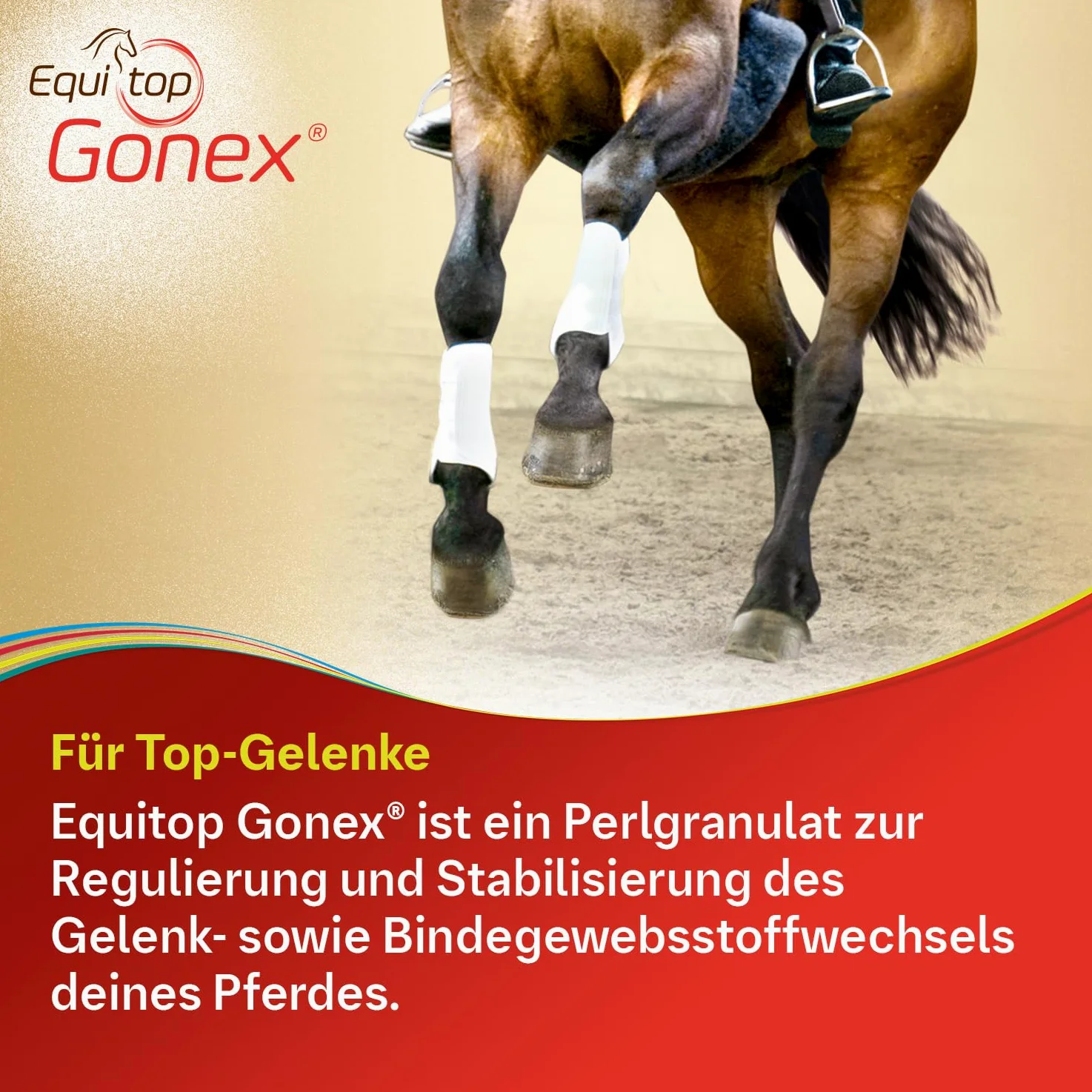 EQUITOP Gonex Granulat Vet.