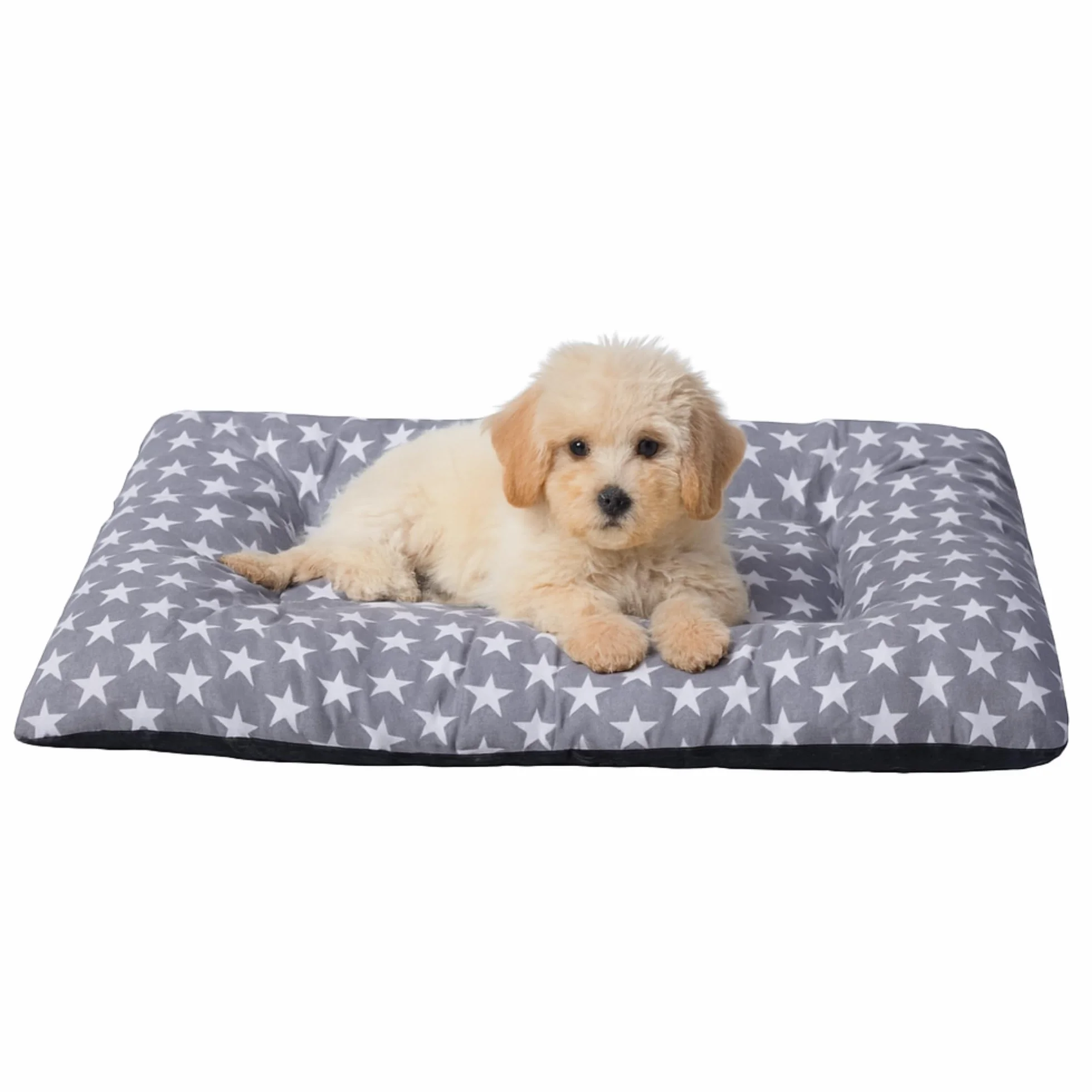 Cama Cachorro Perro Pequeño Espuma Acolchada Colchoneta Tacto Suave Tejido Transpirable Base Antideslizante Funda de algodón loneta Ligera cómoda Lavable Fácil de Transportar 45X65X5 Estrellas +Cotes