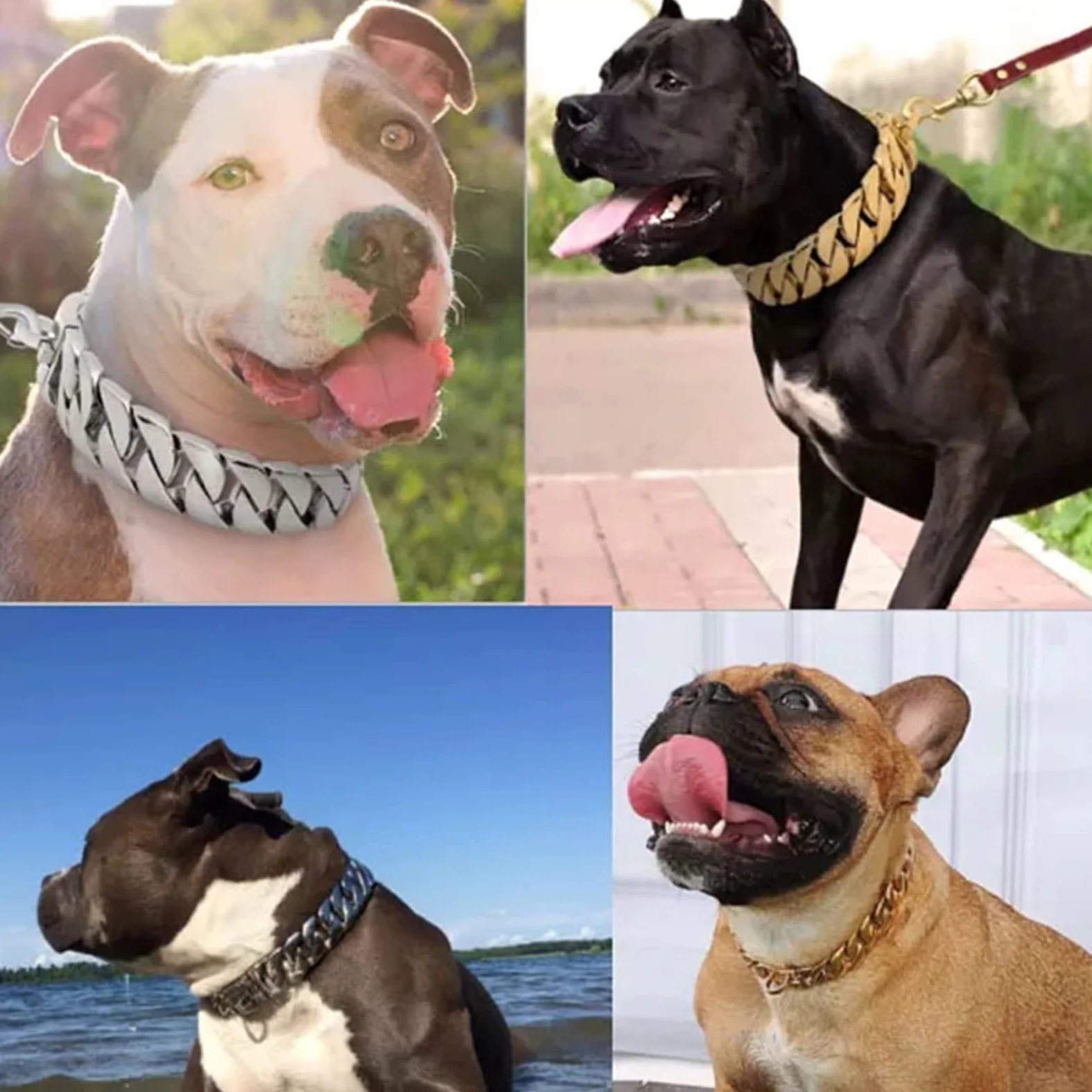 Multicolor,40cm/16in, Collar de Cadena de Metal Resistente para Perros, de Acero Inoxidable Dorado Resistente con Hebilla de Seguridad para Perros PequeñOs, Medianos y Grandes